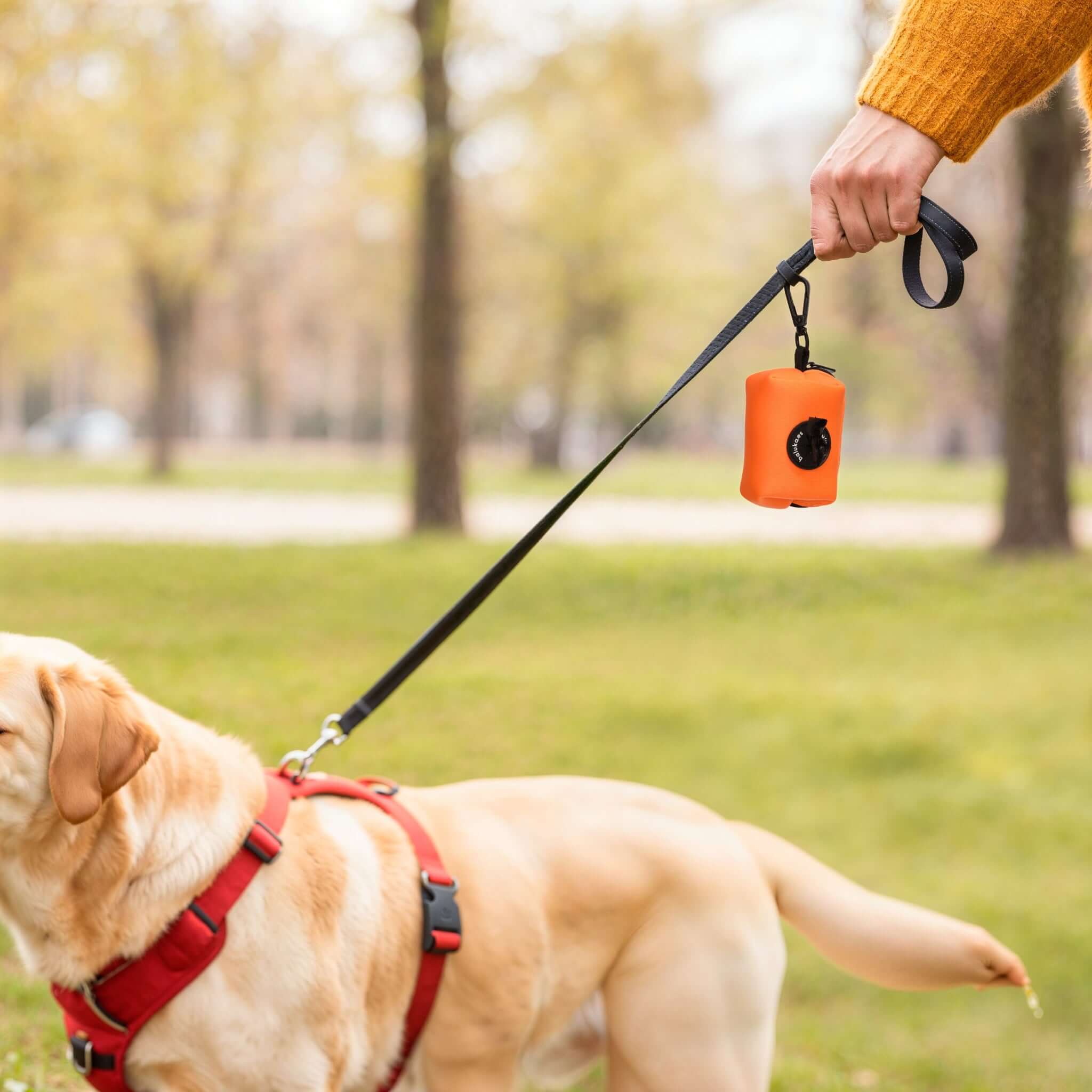 Imagen del producto 9