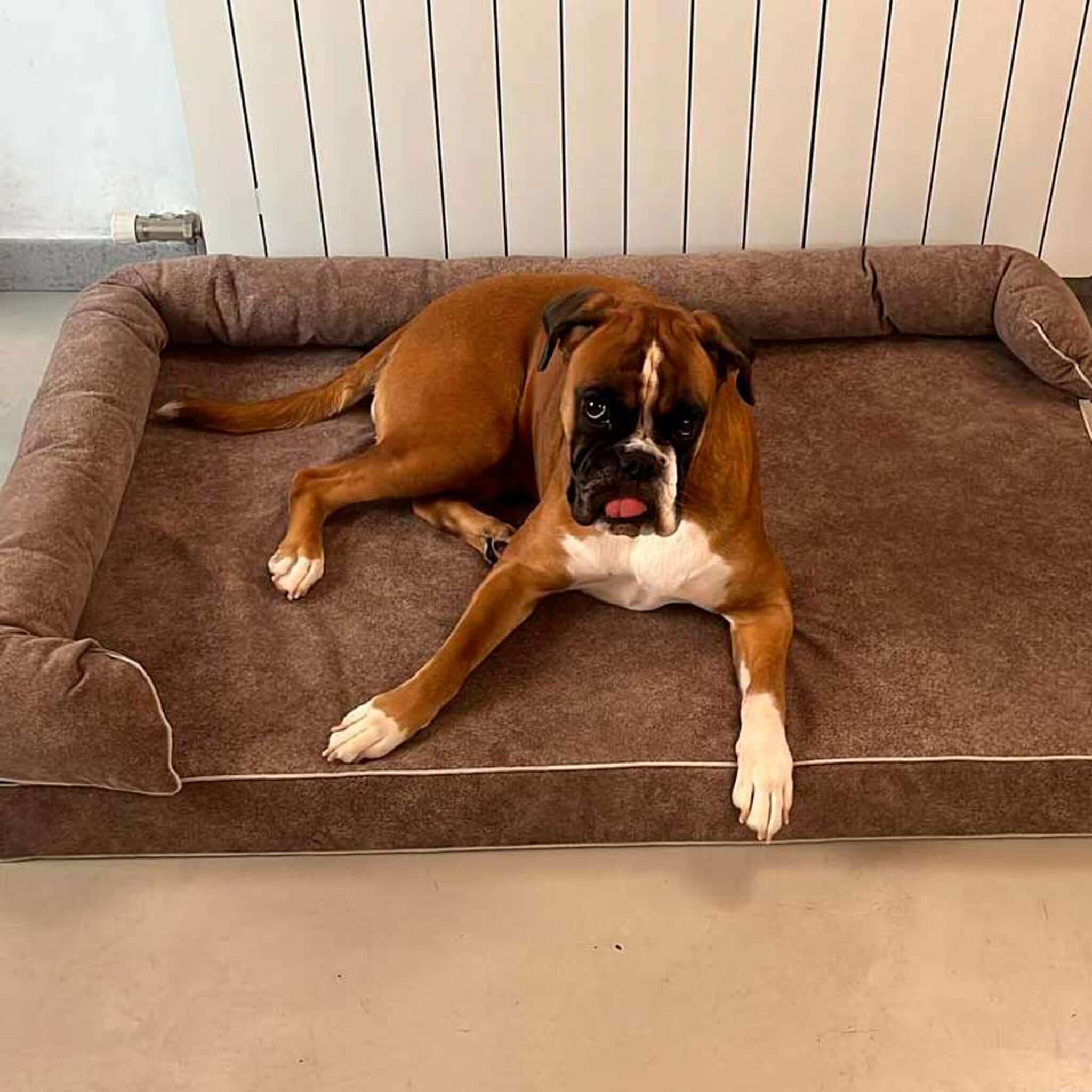 Imagen del producto 101