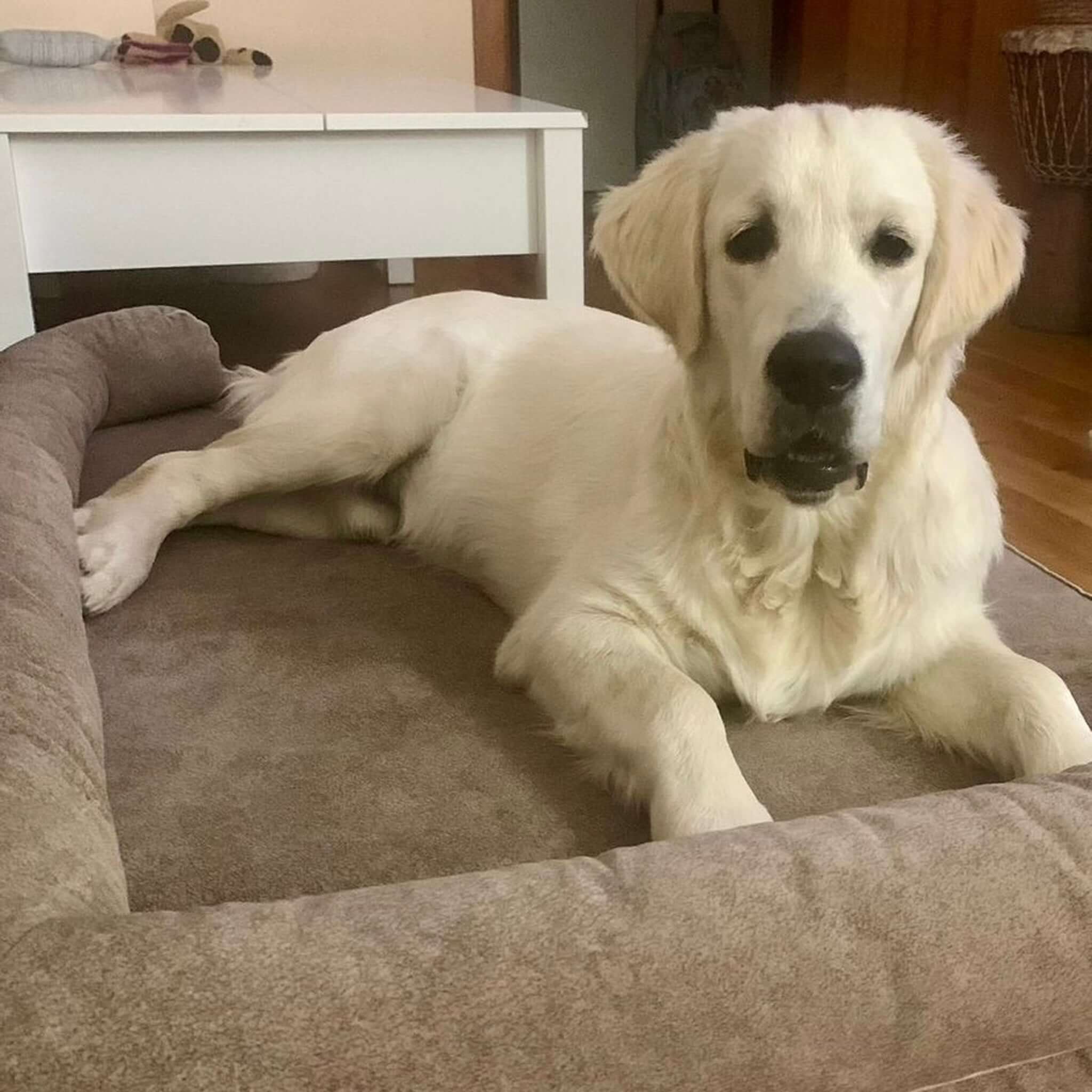 Imagen del producto 104