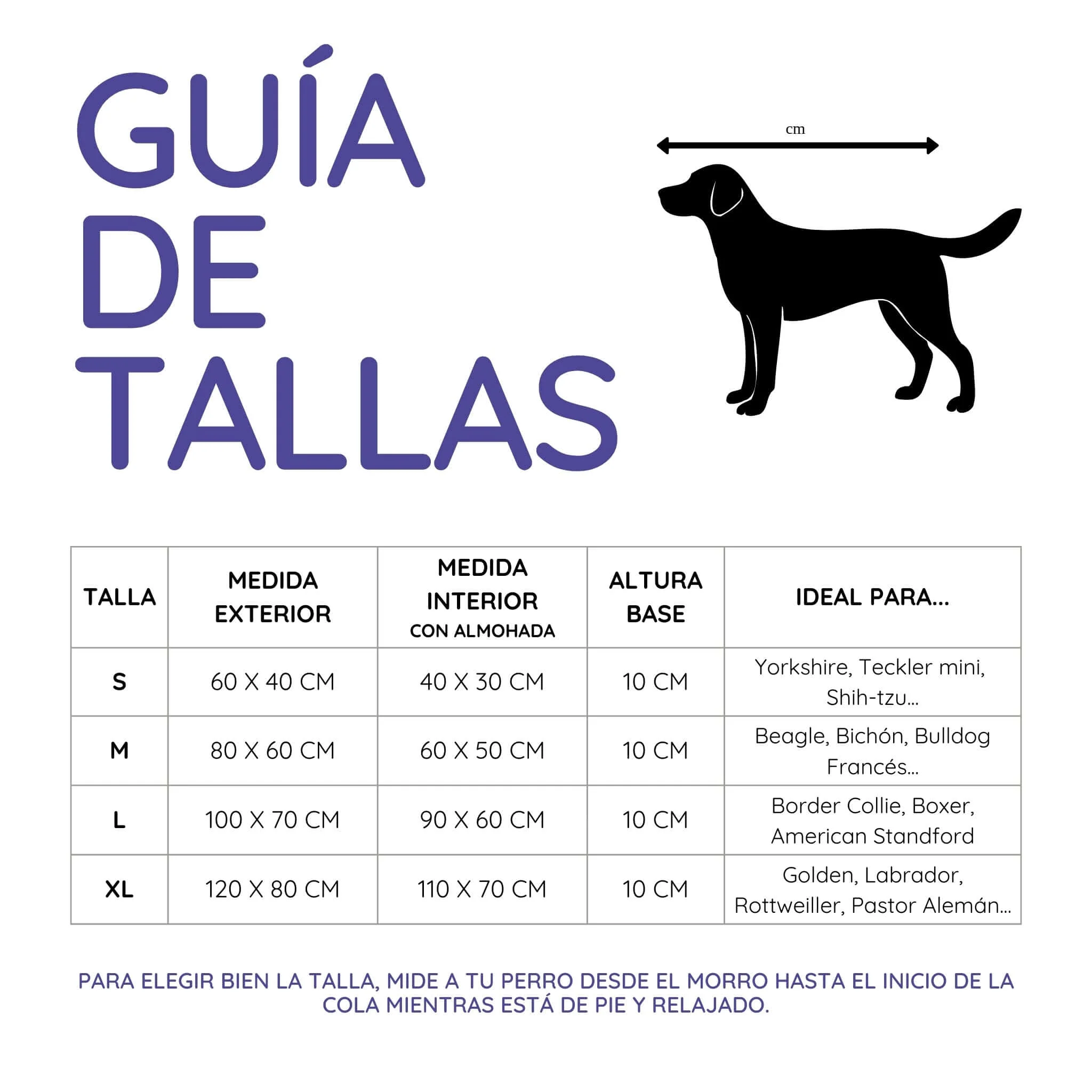 Imagen del producto 107