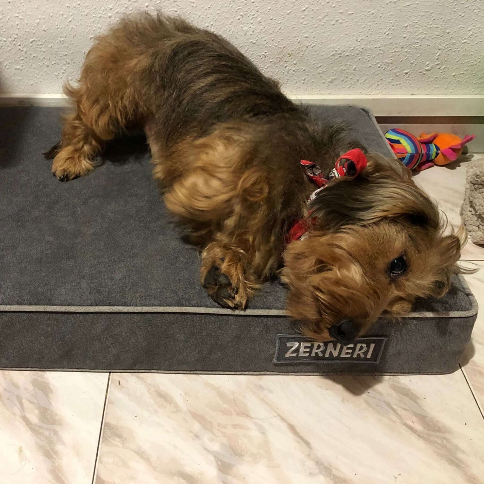 Imagen del producto 11