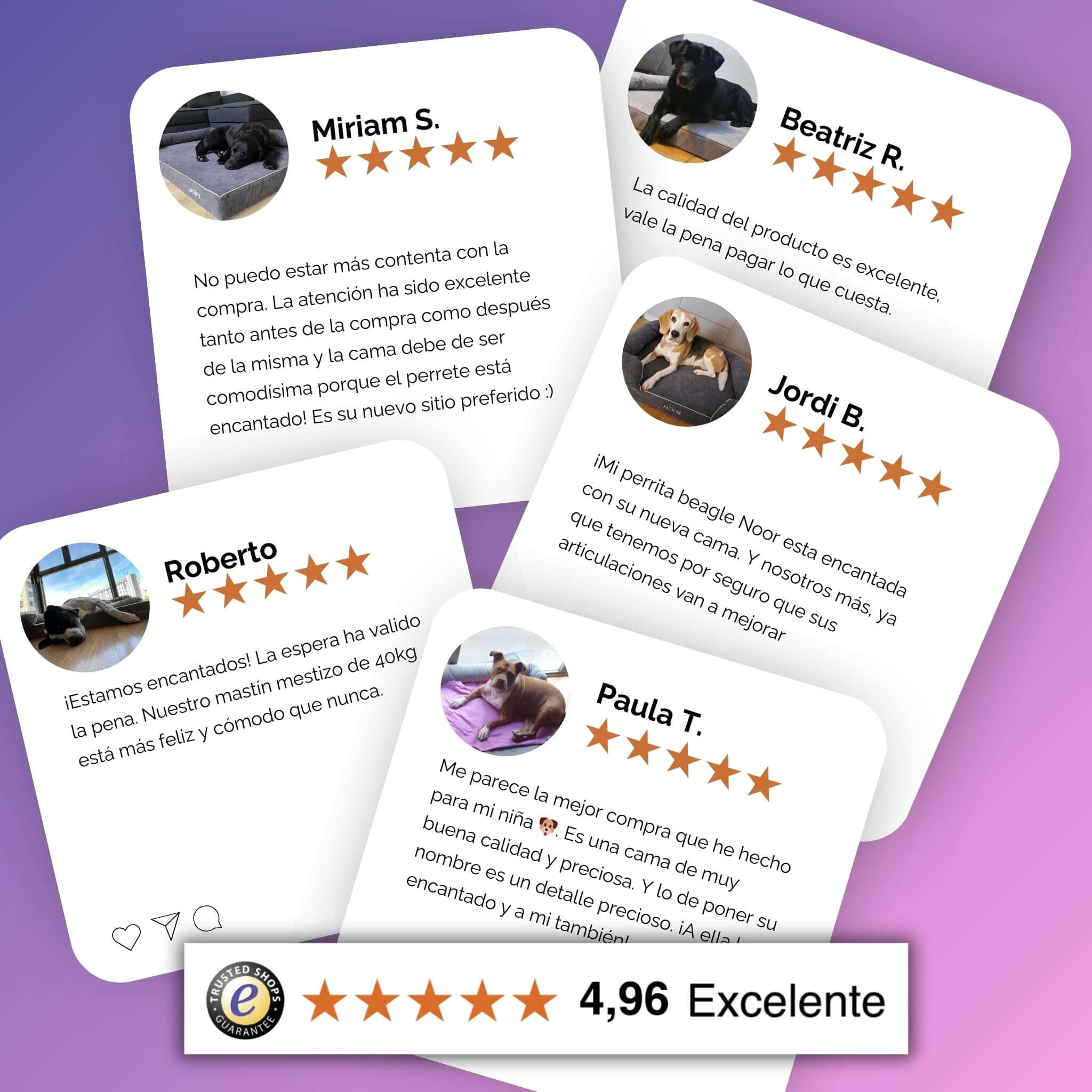 Imagen del producto 110