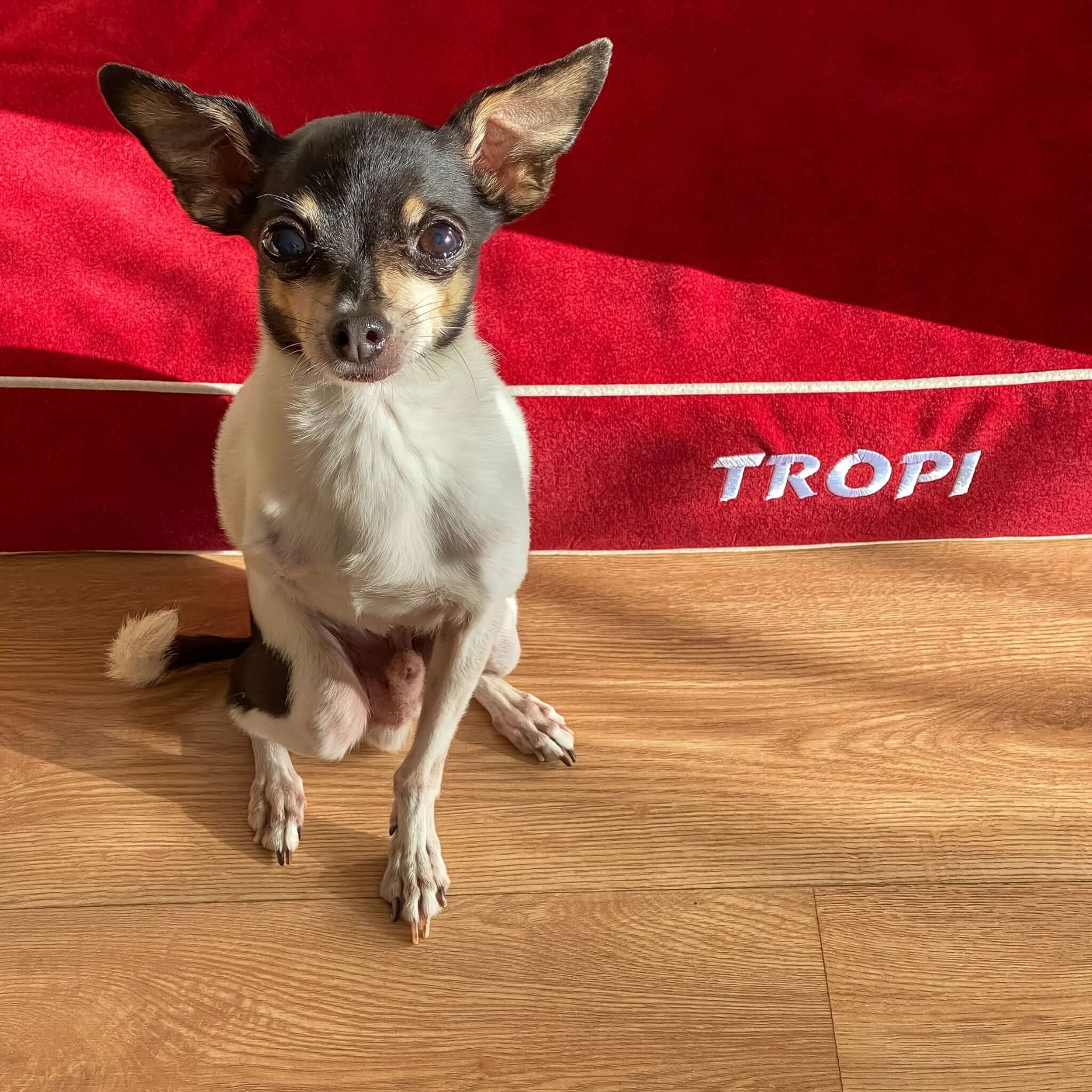 Imagen del producto 12