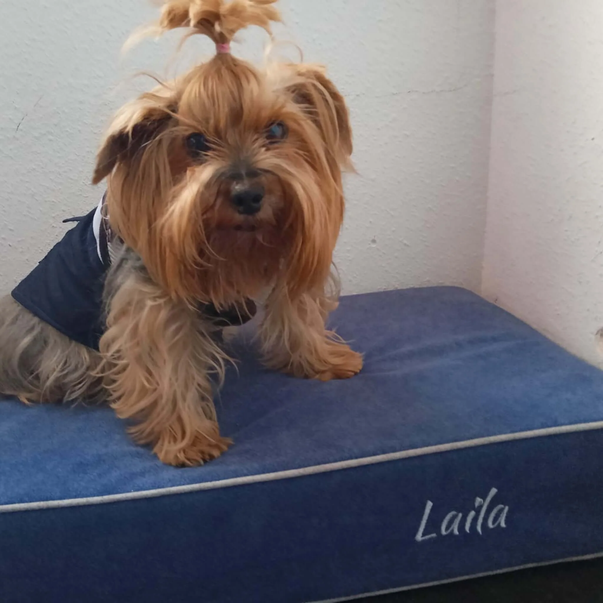 Imagen del producto 14