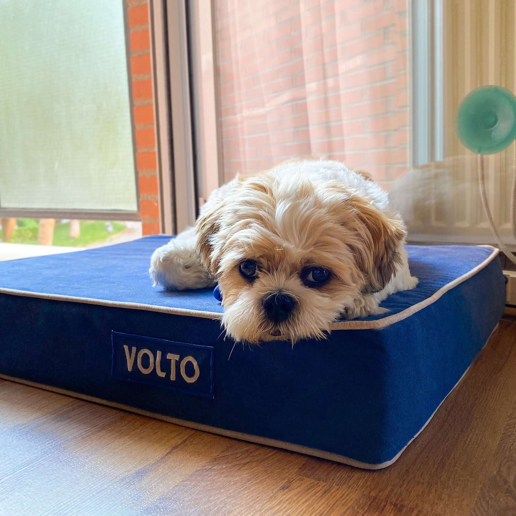 Imagen del producto 16