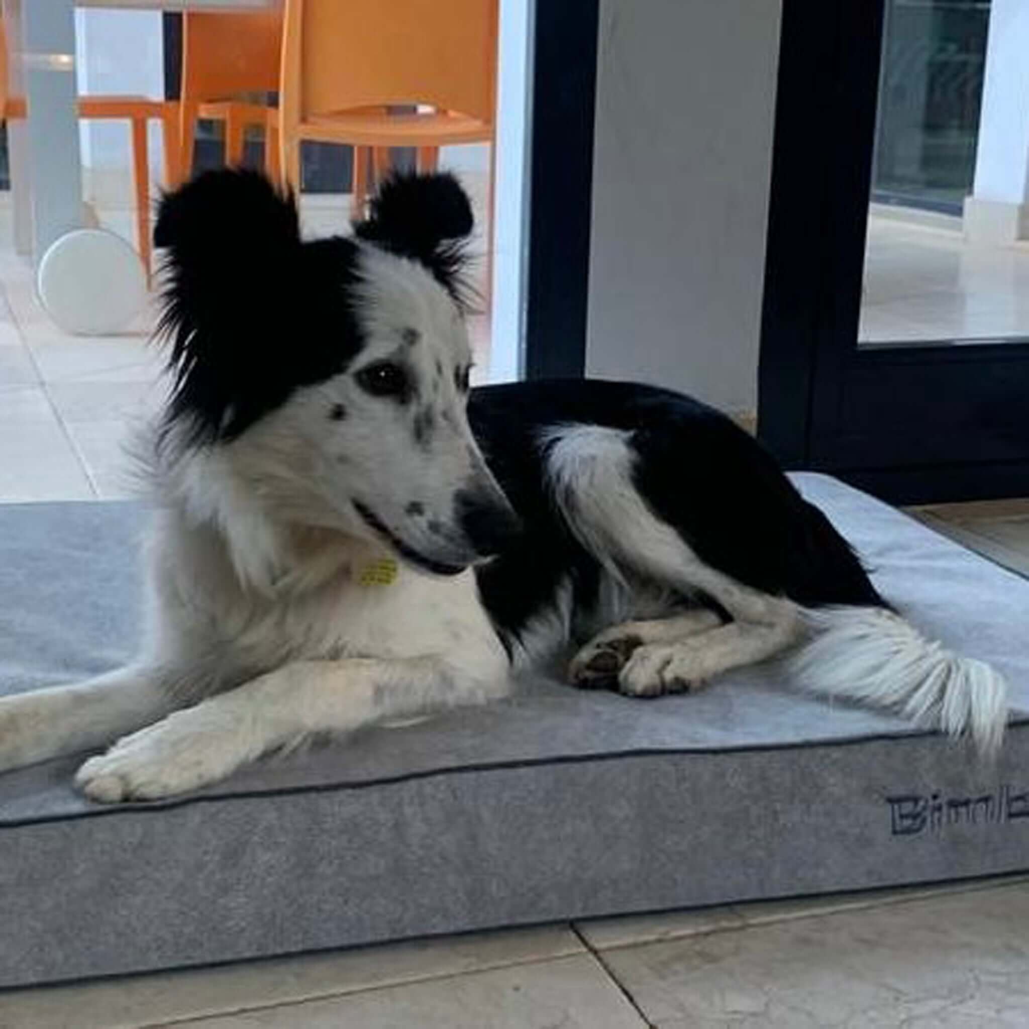 Imagen del producto 22