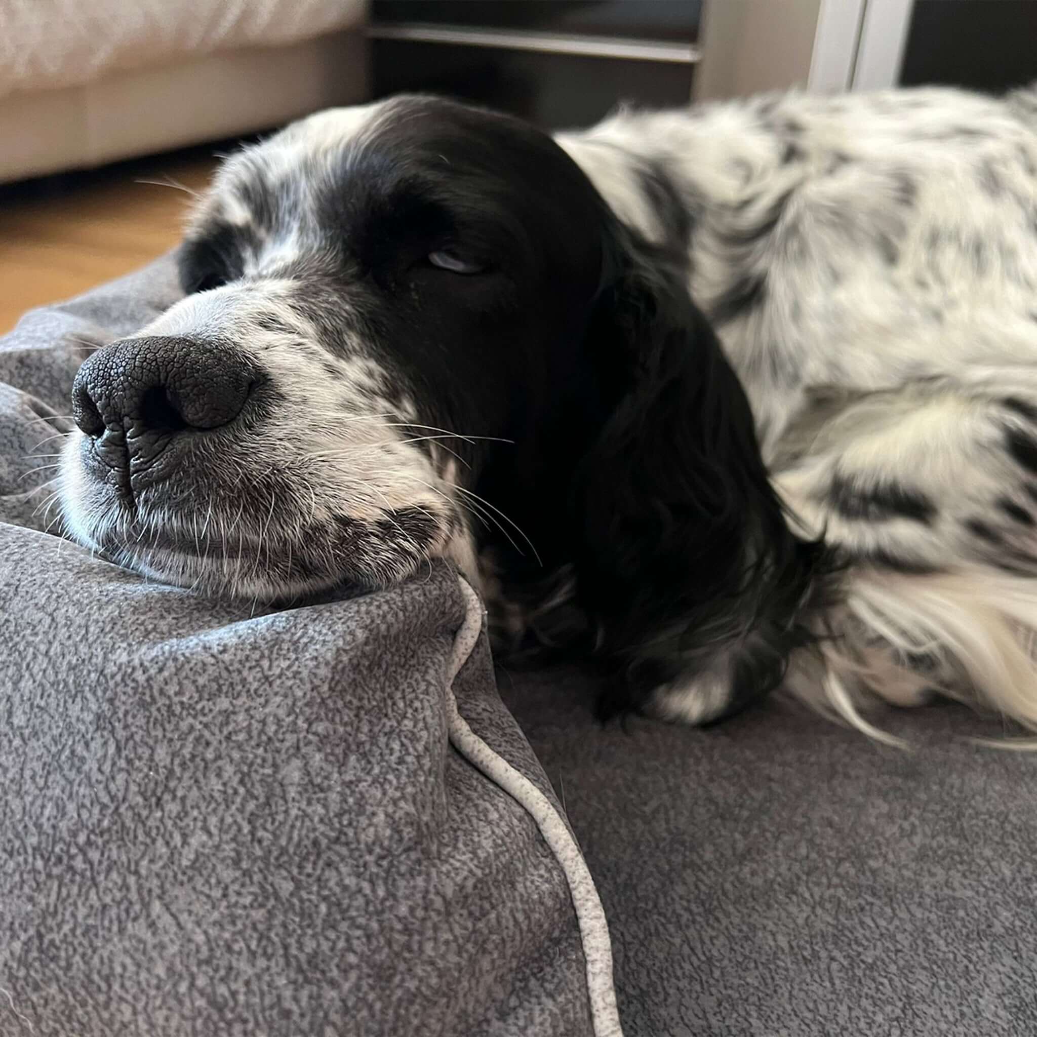 Imagen del producto 29