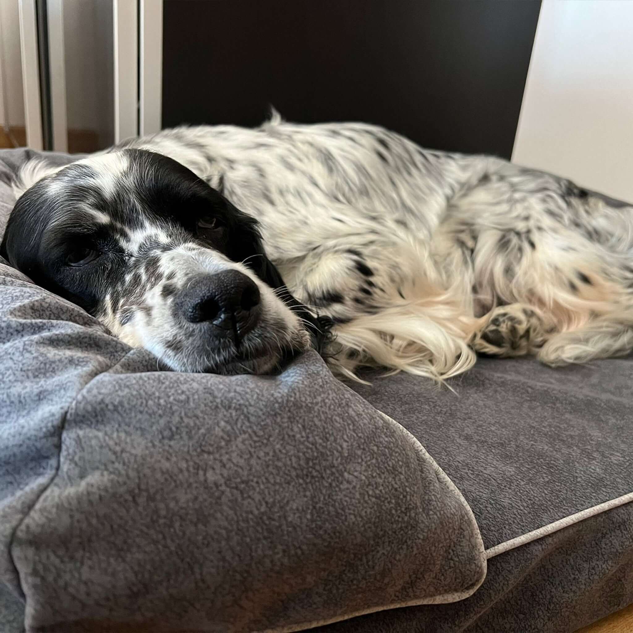 Imagen del producto 31