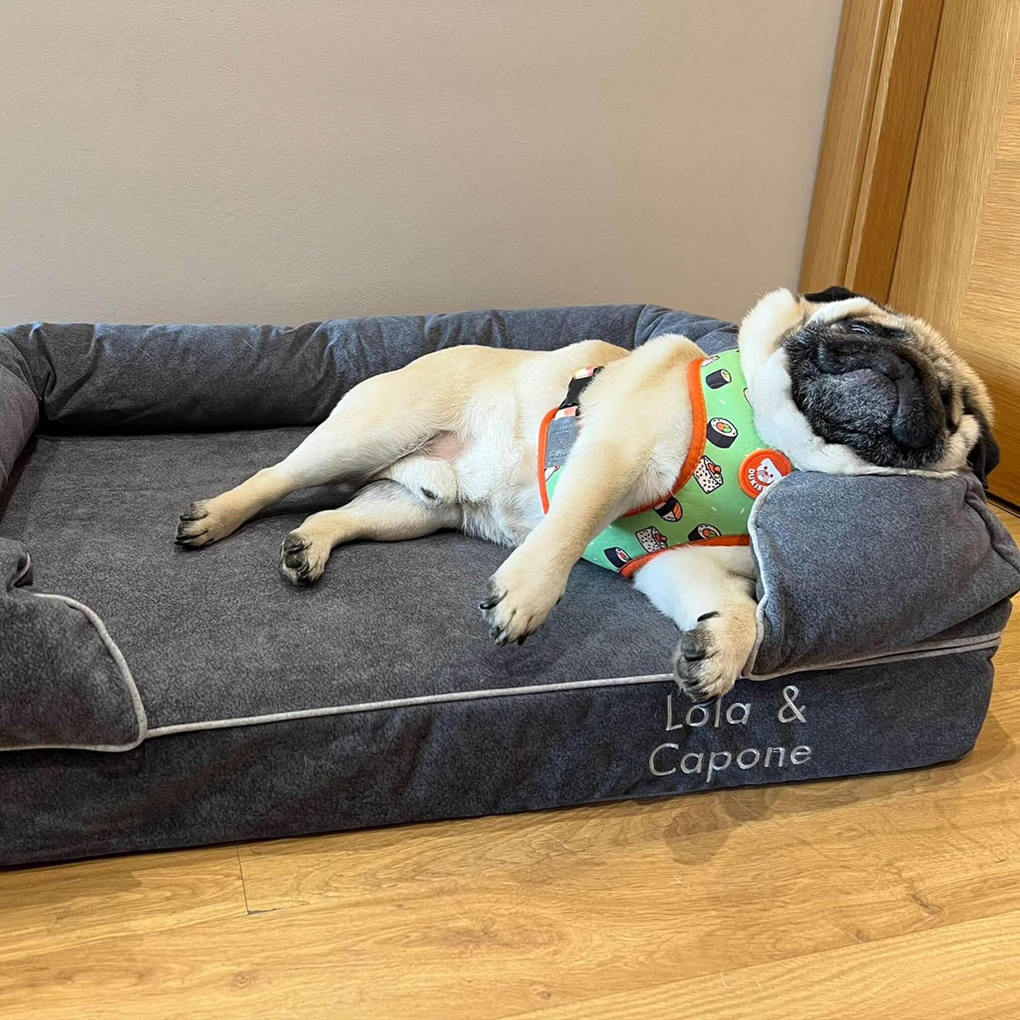 Imagen del producto 33