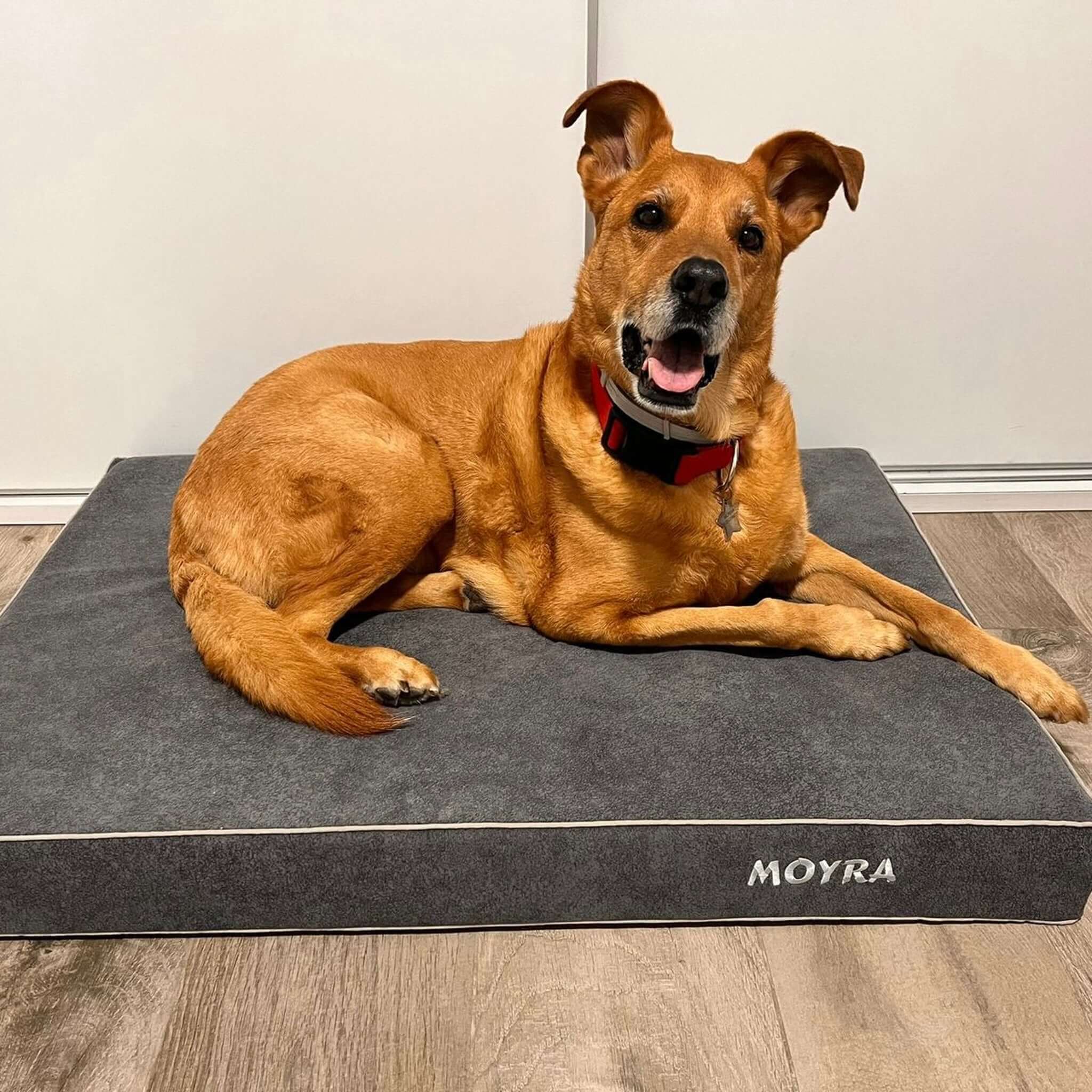 Imagen del producto 36