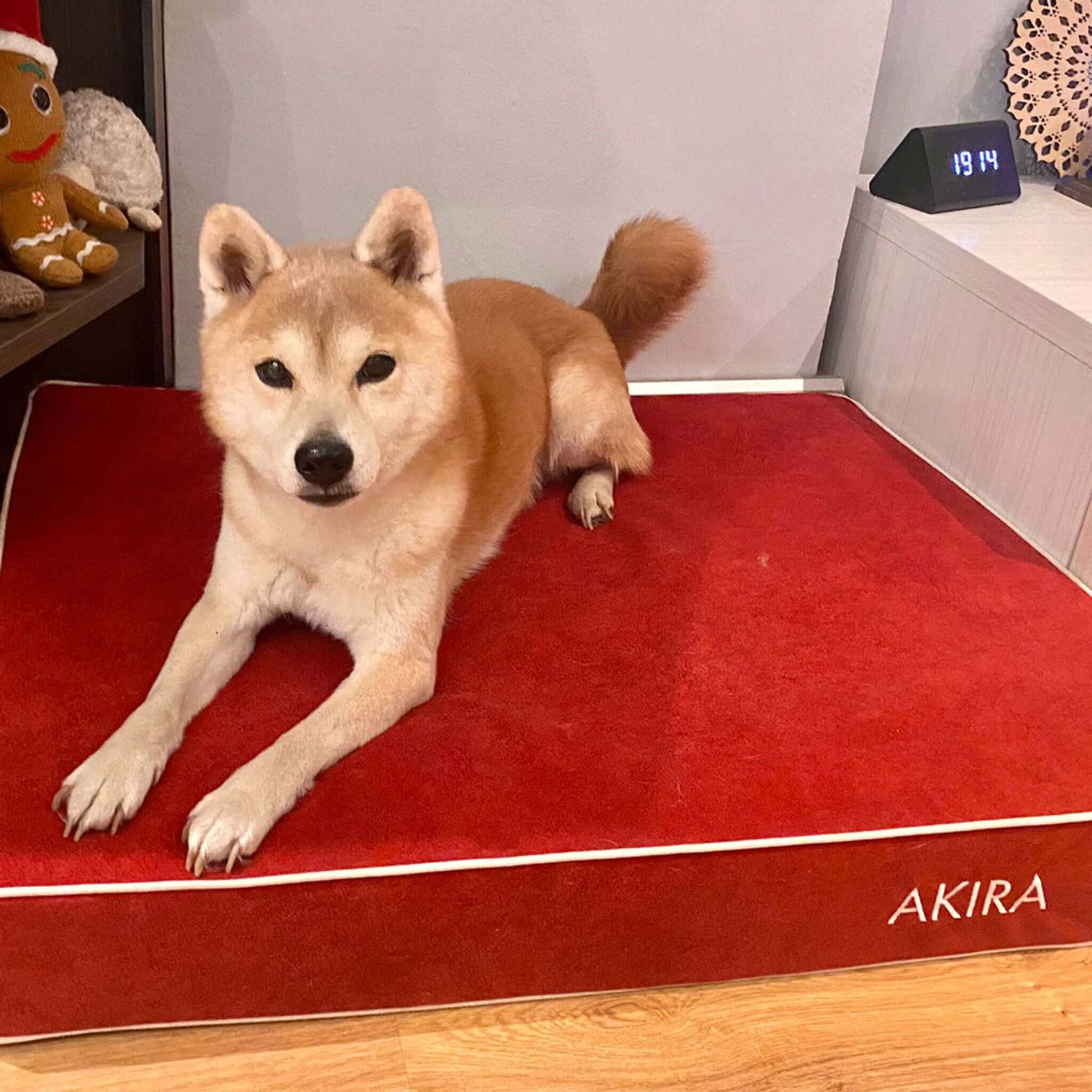 Imagen del producto 38