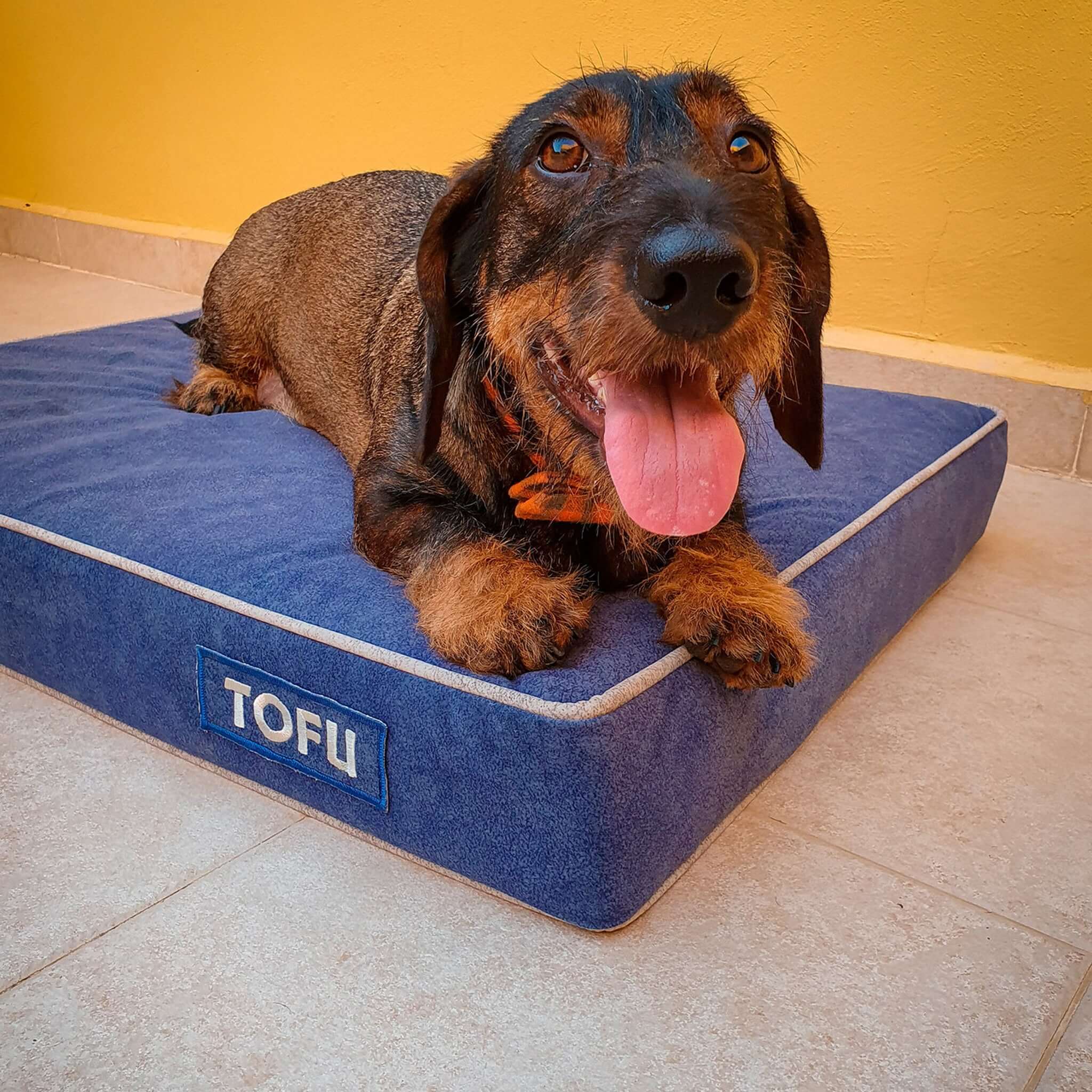 Imagen del producto 42