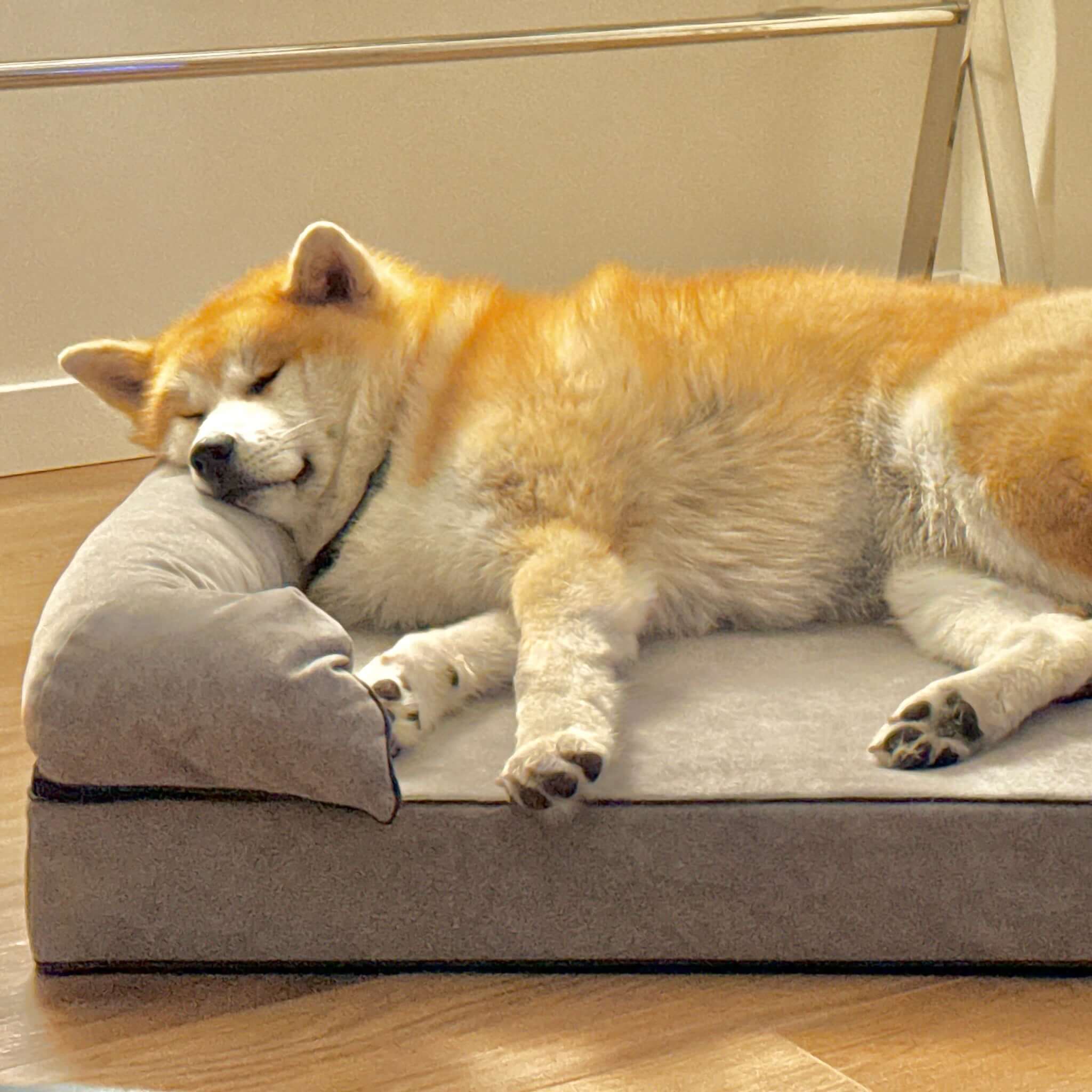 Imagen del producto 47