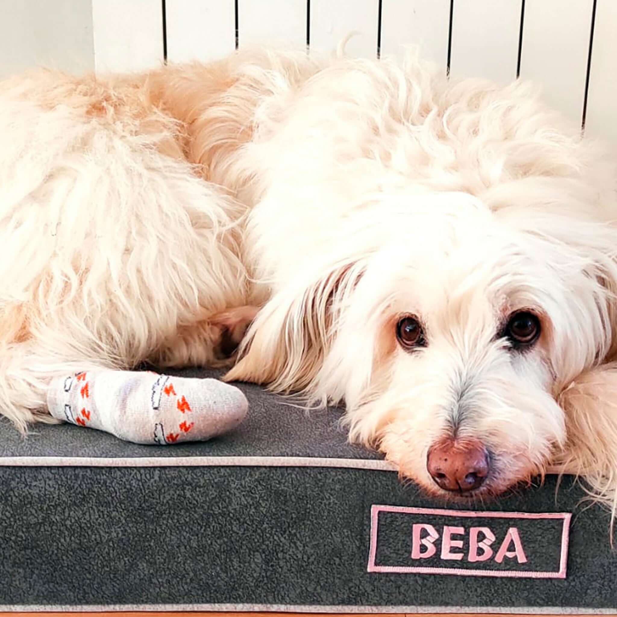 Imagen del producto 52