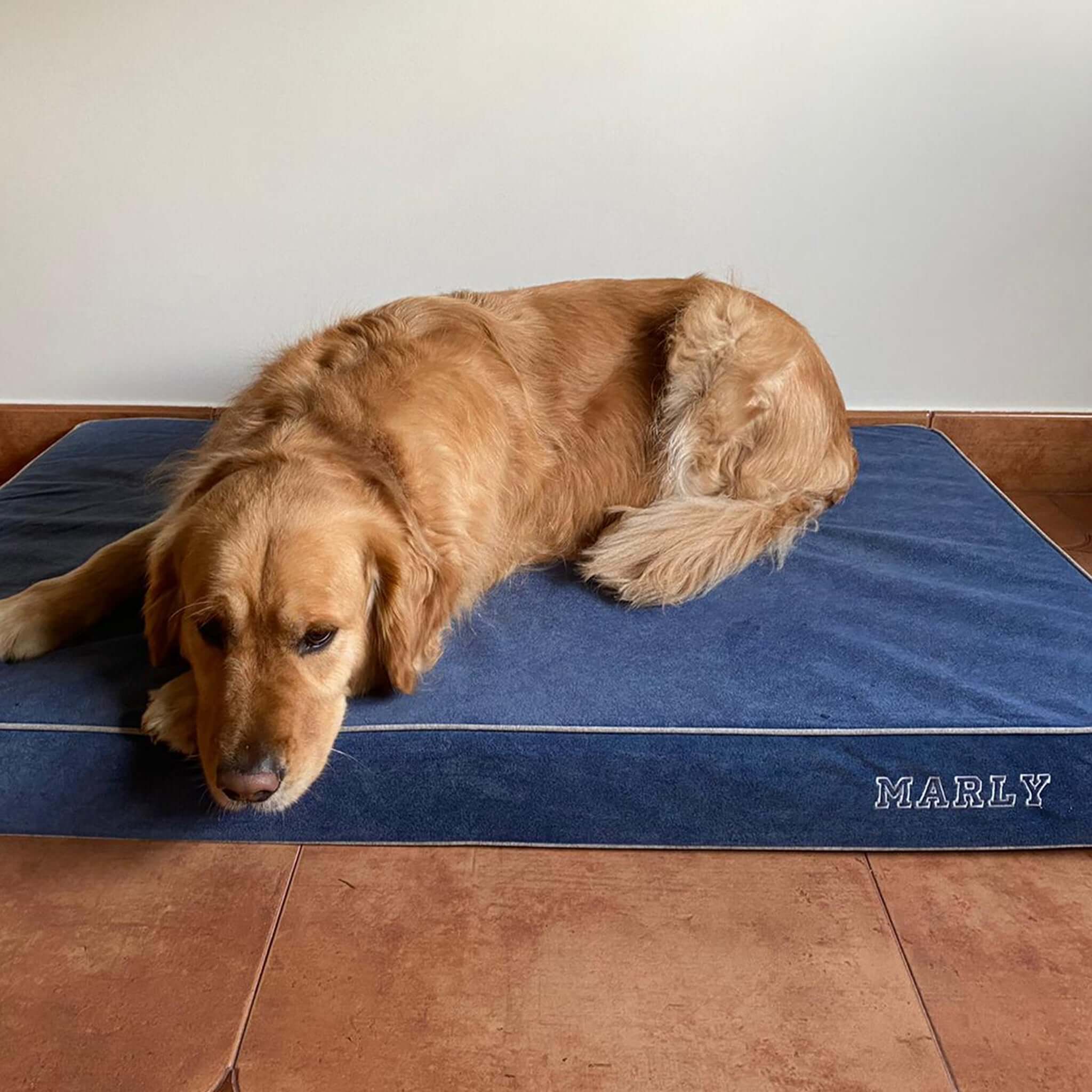 Imagen del producto 54