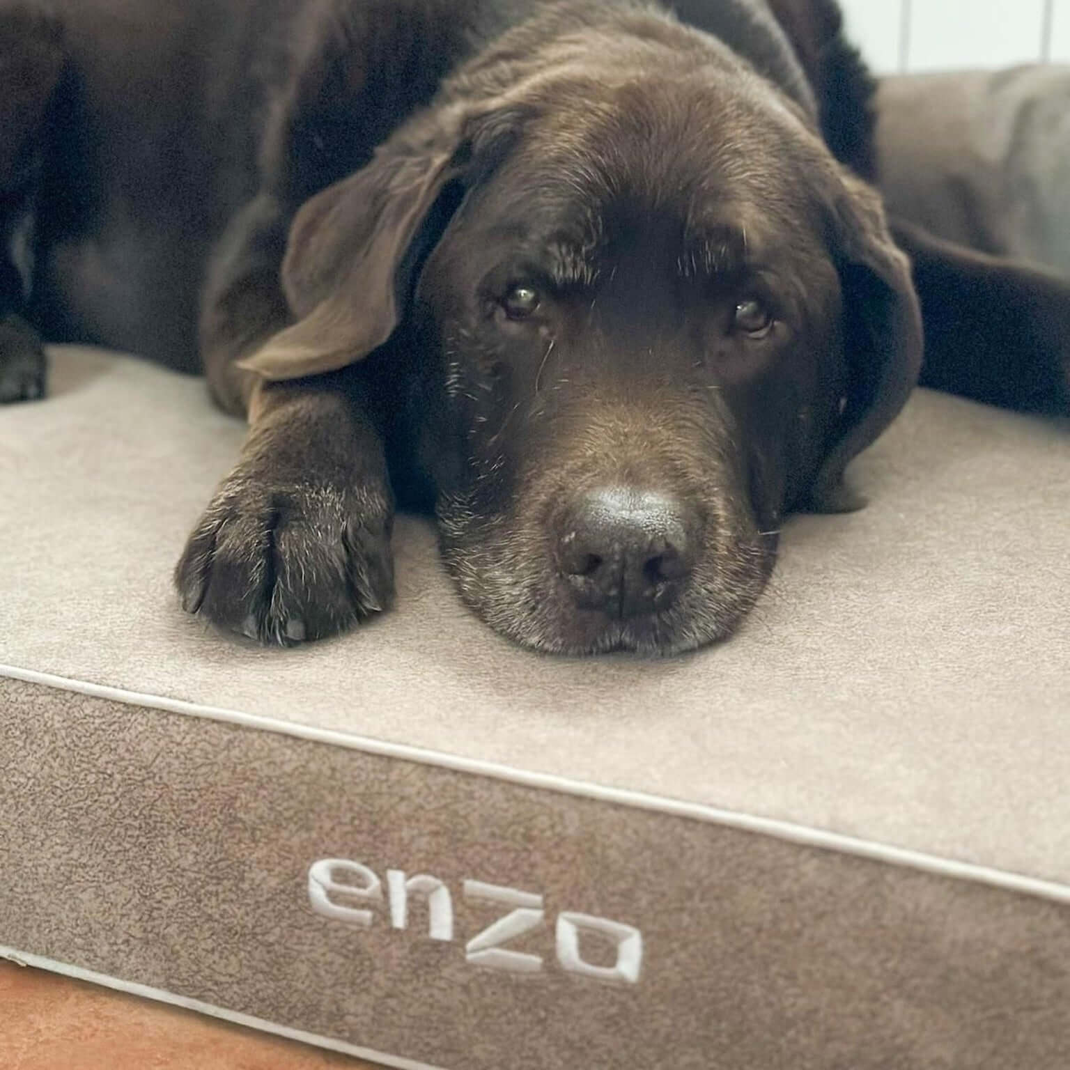 Imagen del producto 56