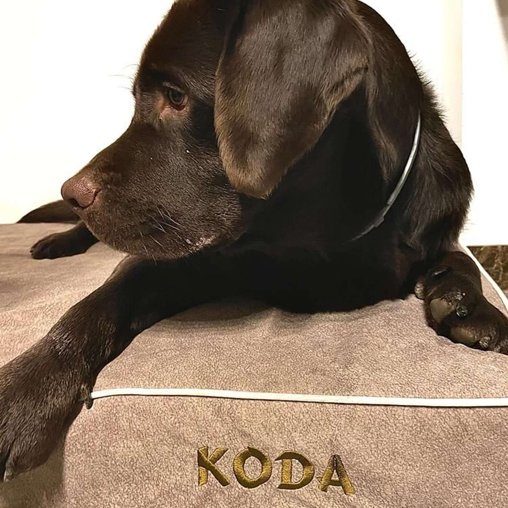 Imagen del producto 58