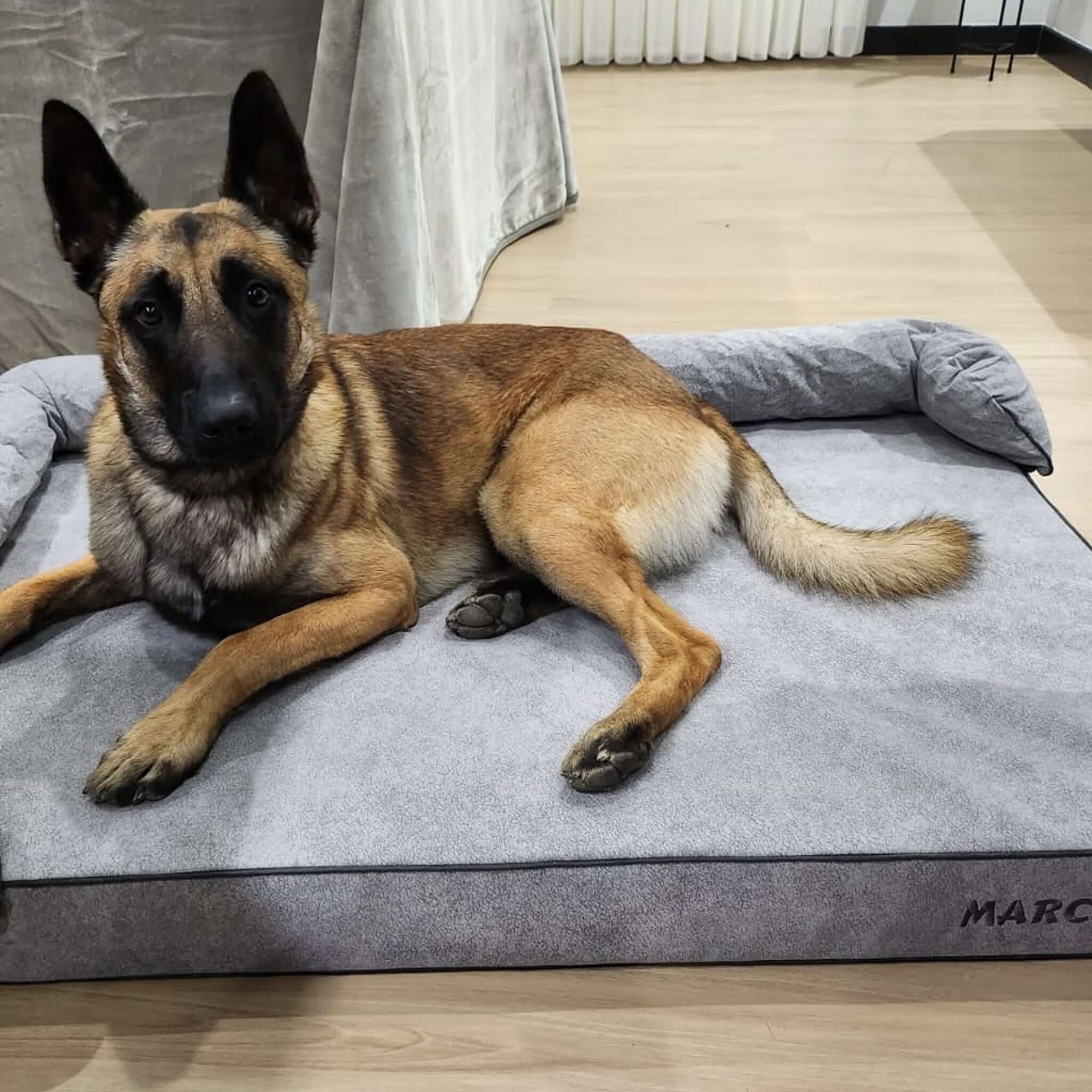 Imagen del producto 62