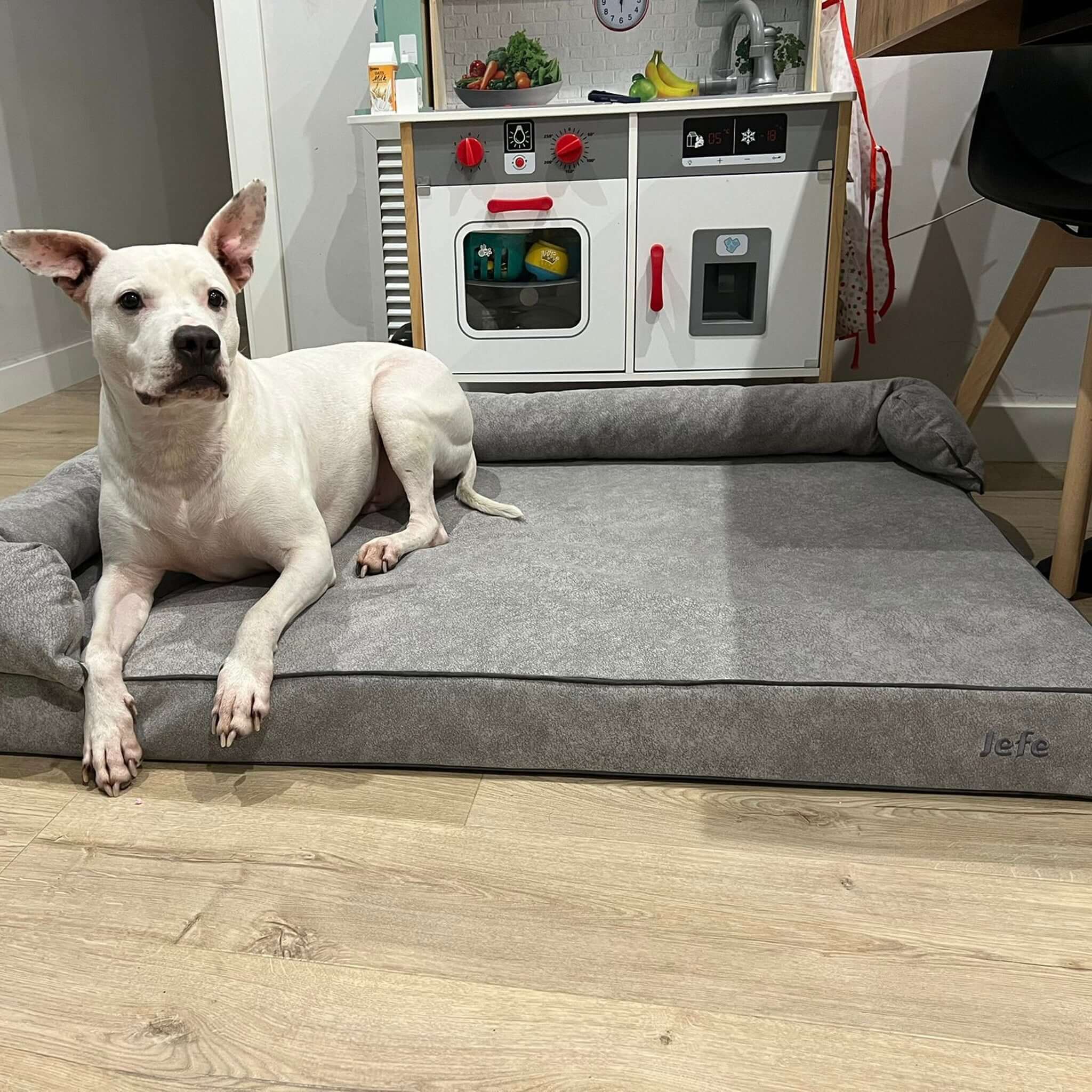 Imagen del producto 64