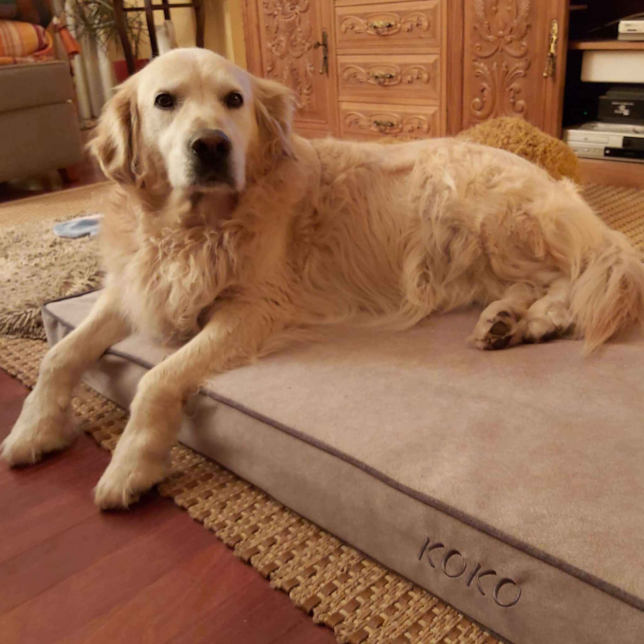 Imagen del producto 69