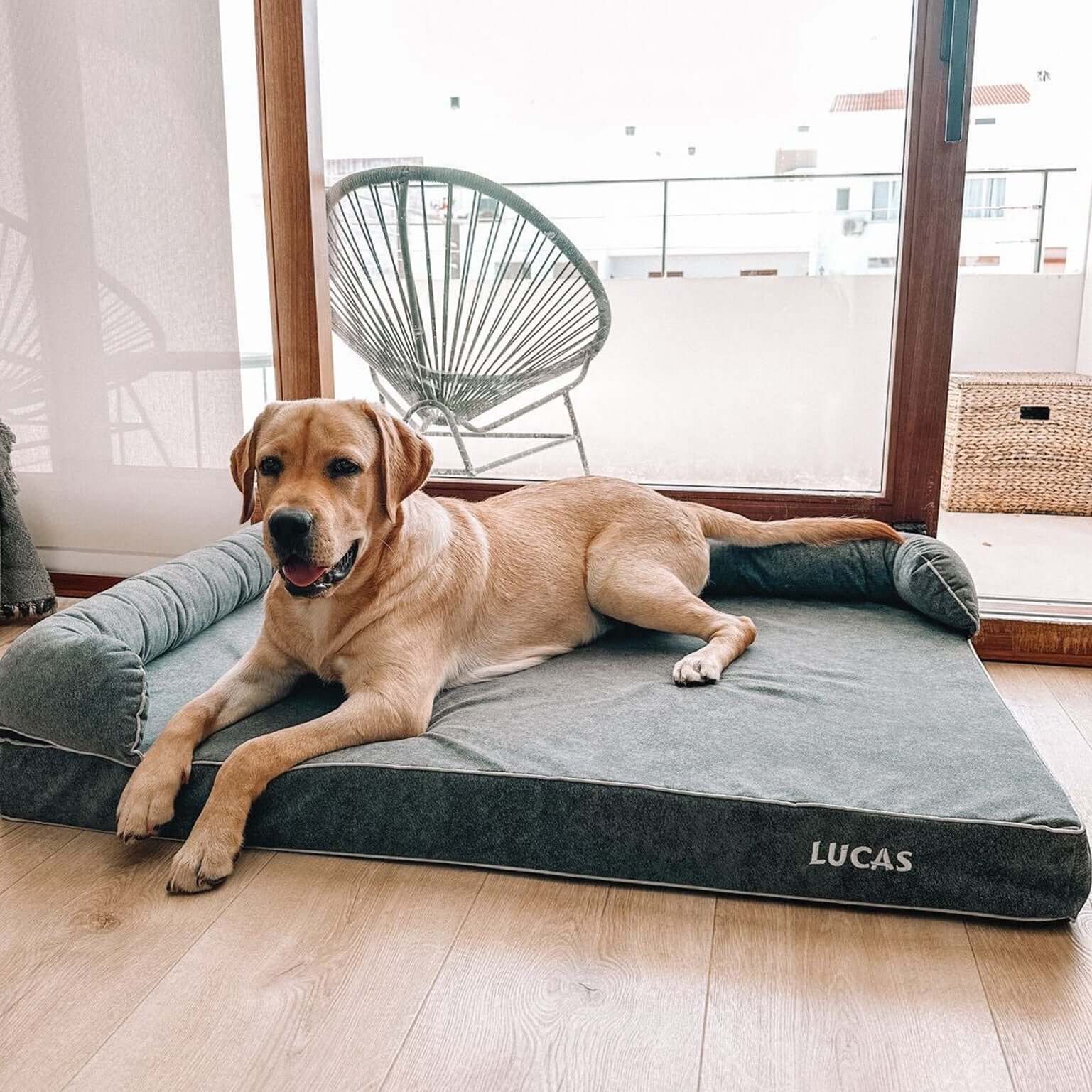 Imagen del producto 73