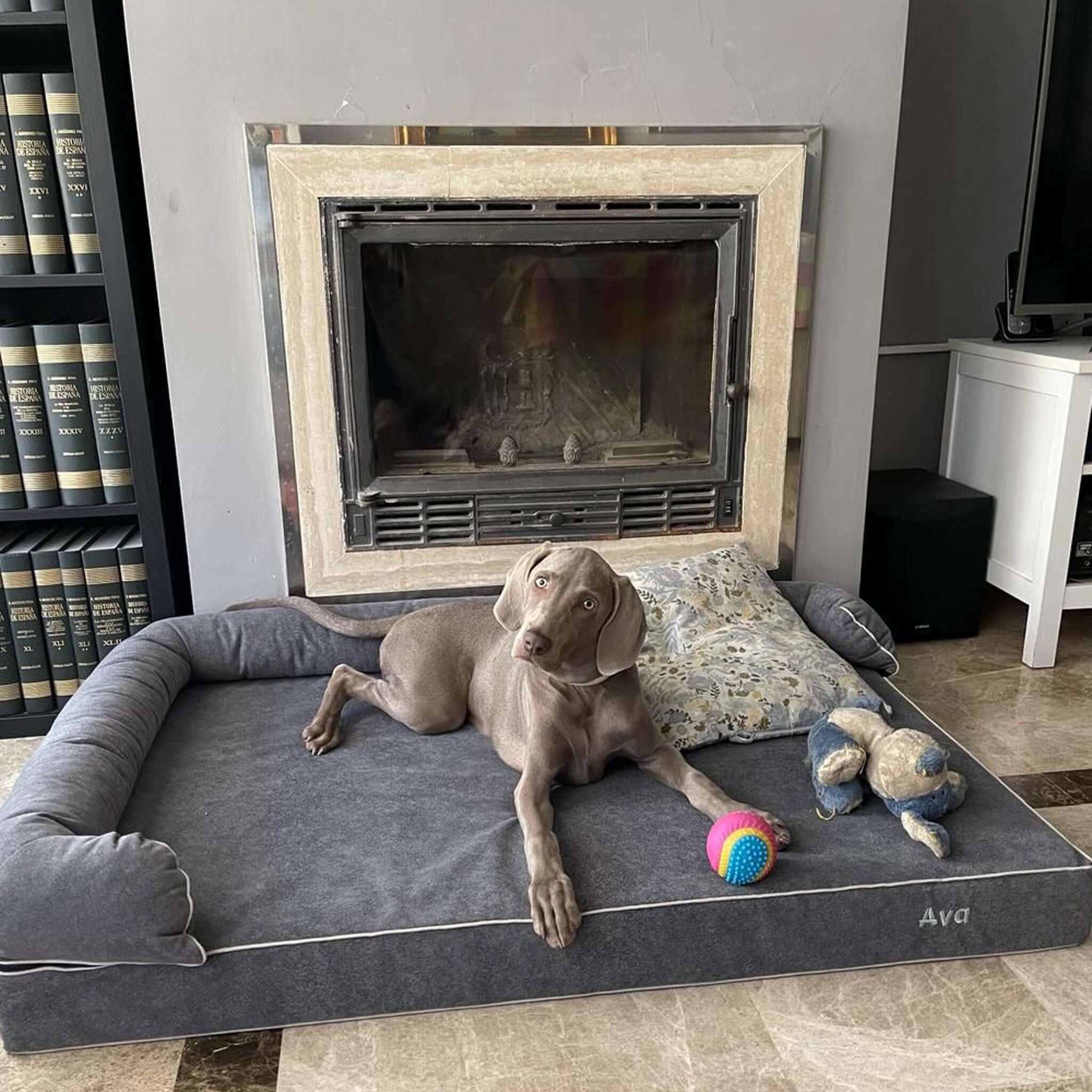 Imagen del producto 74