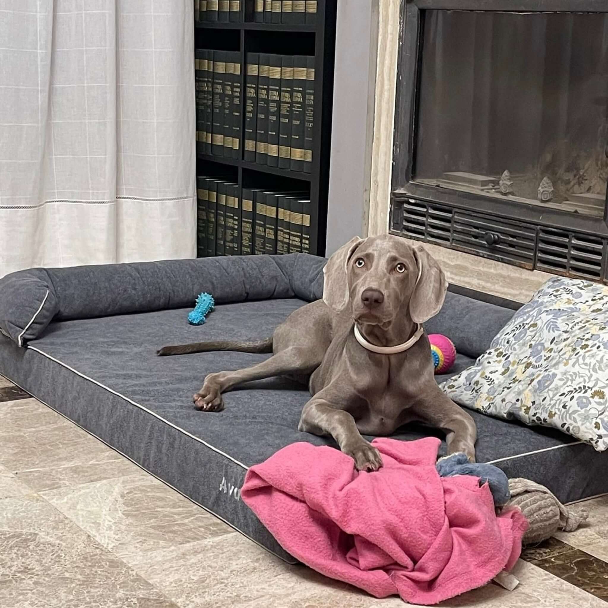 Imagen del producto 77