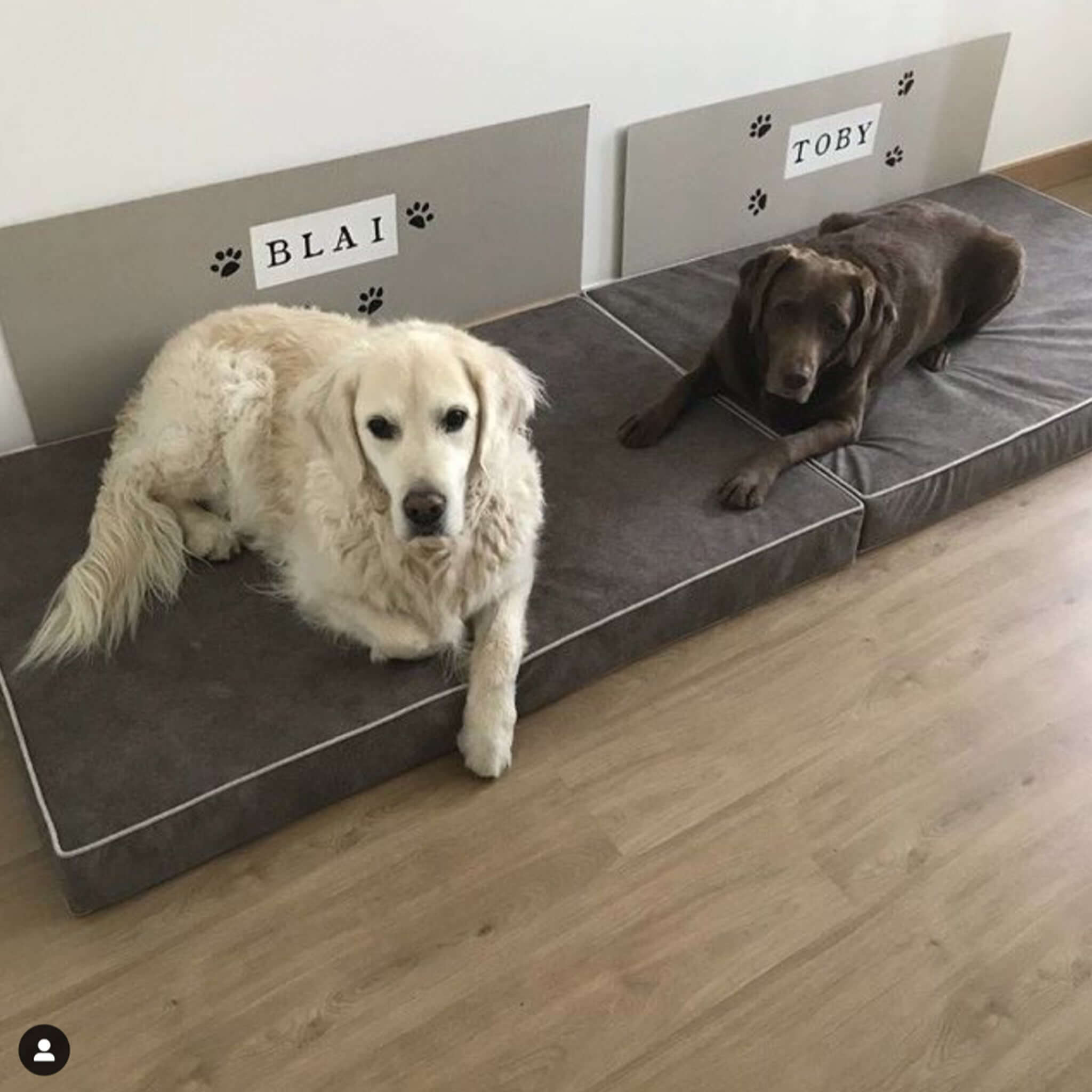 Imagen del producto 81