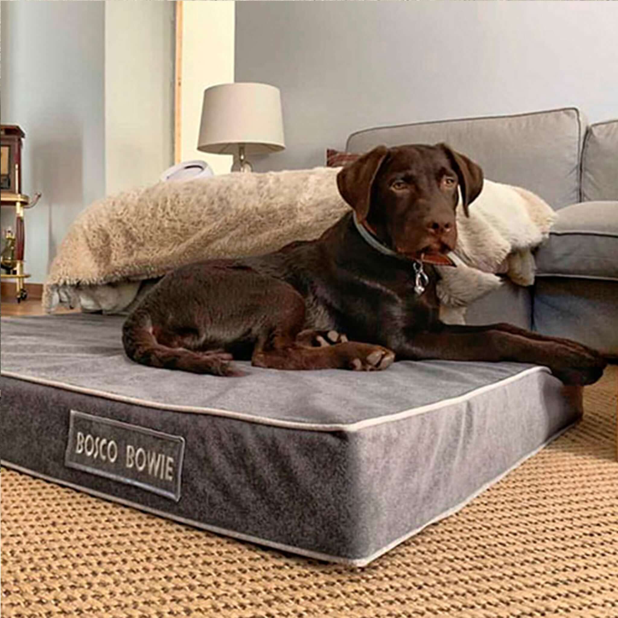 Imagen del producto 82