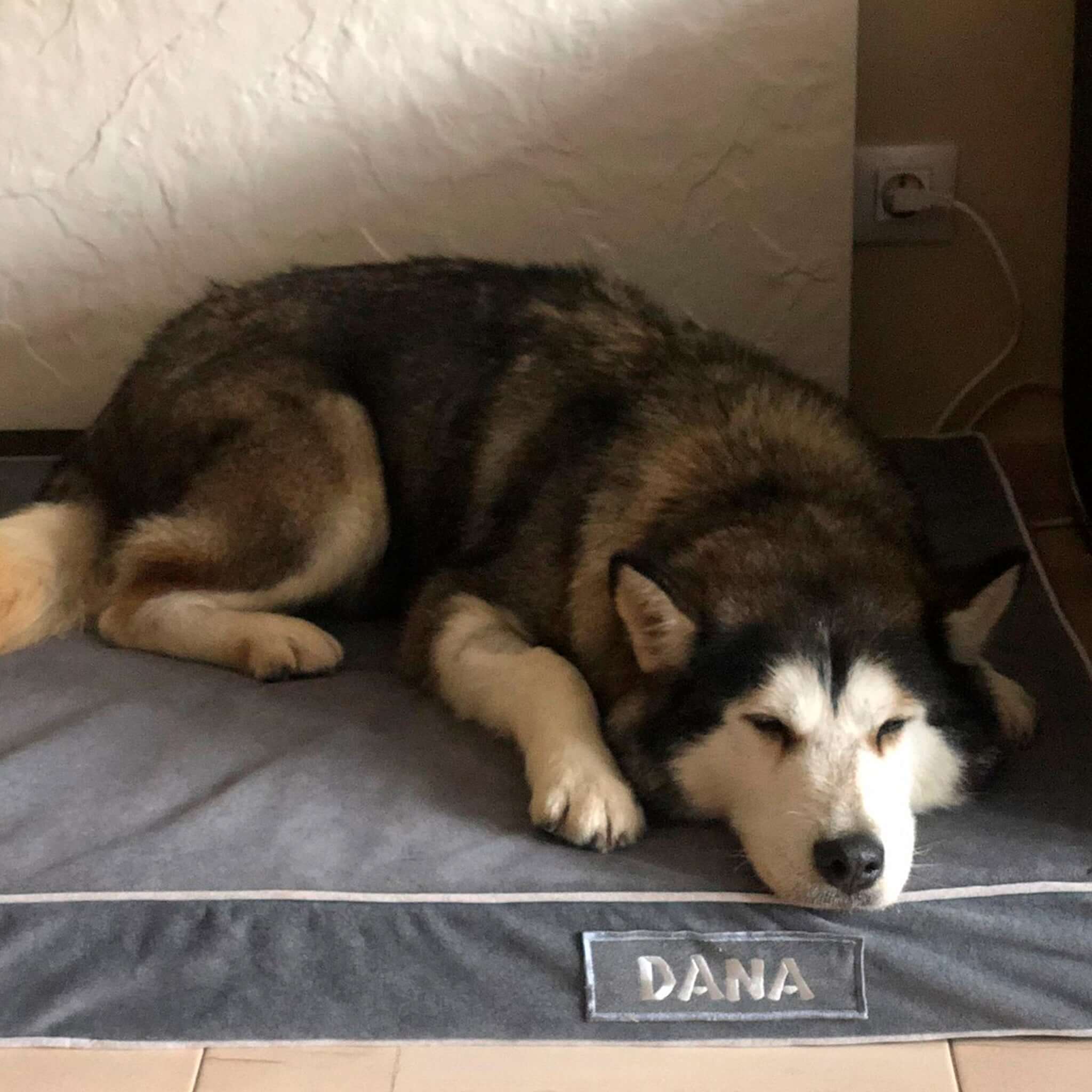 Imagen del producto 85