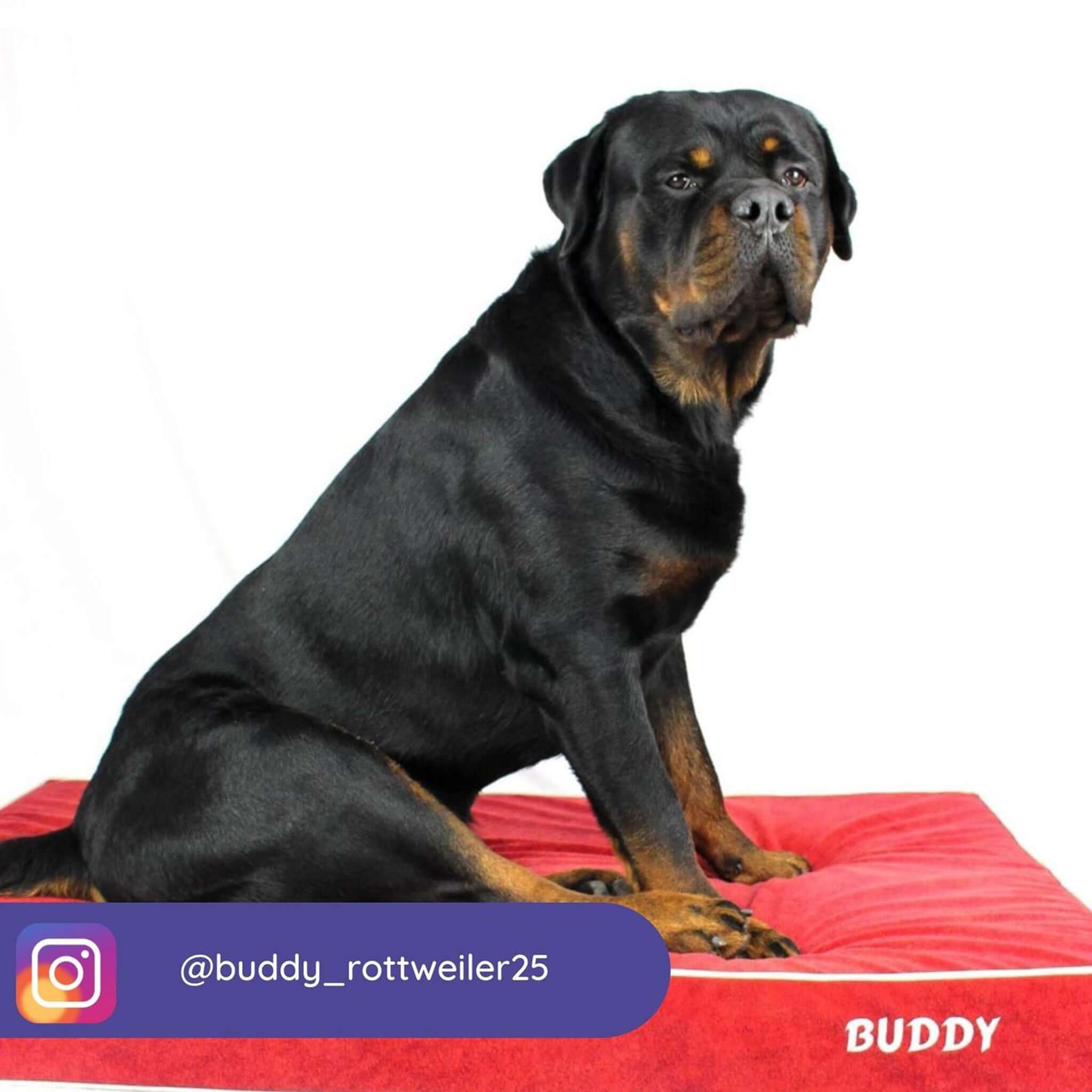 Imagen del producto 87