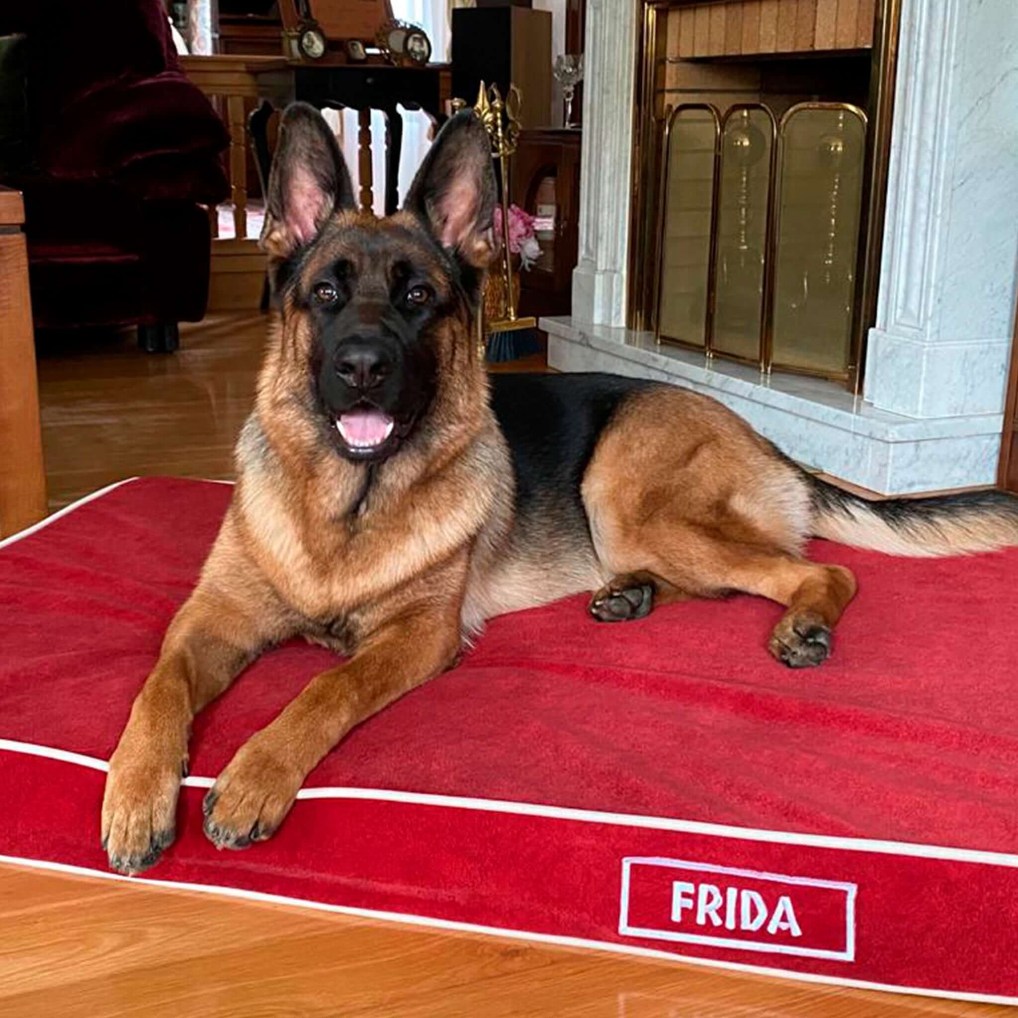 Imagen del producto 90