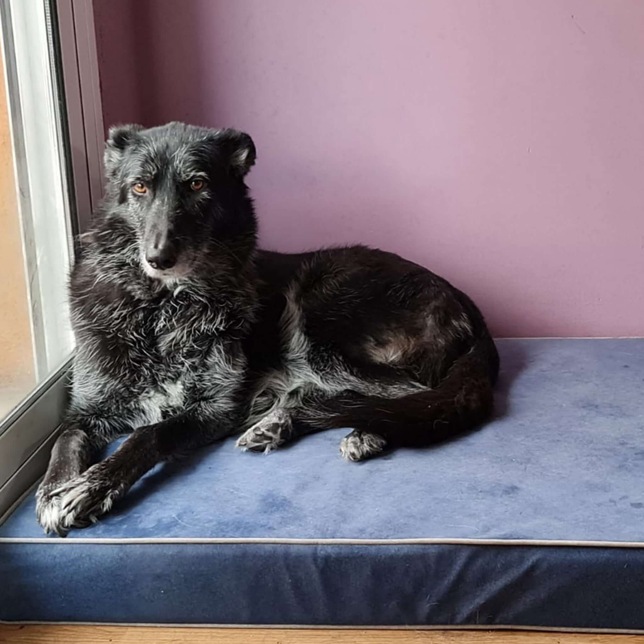 Imagen del producto 92