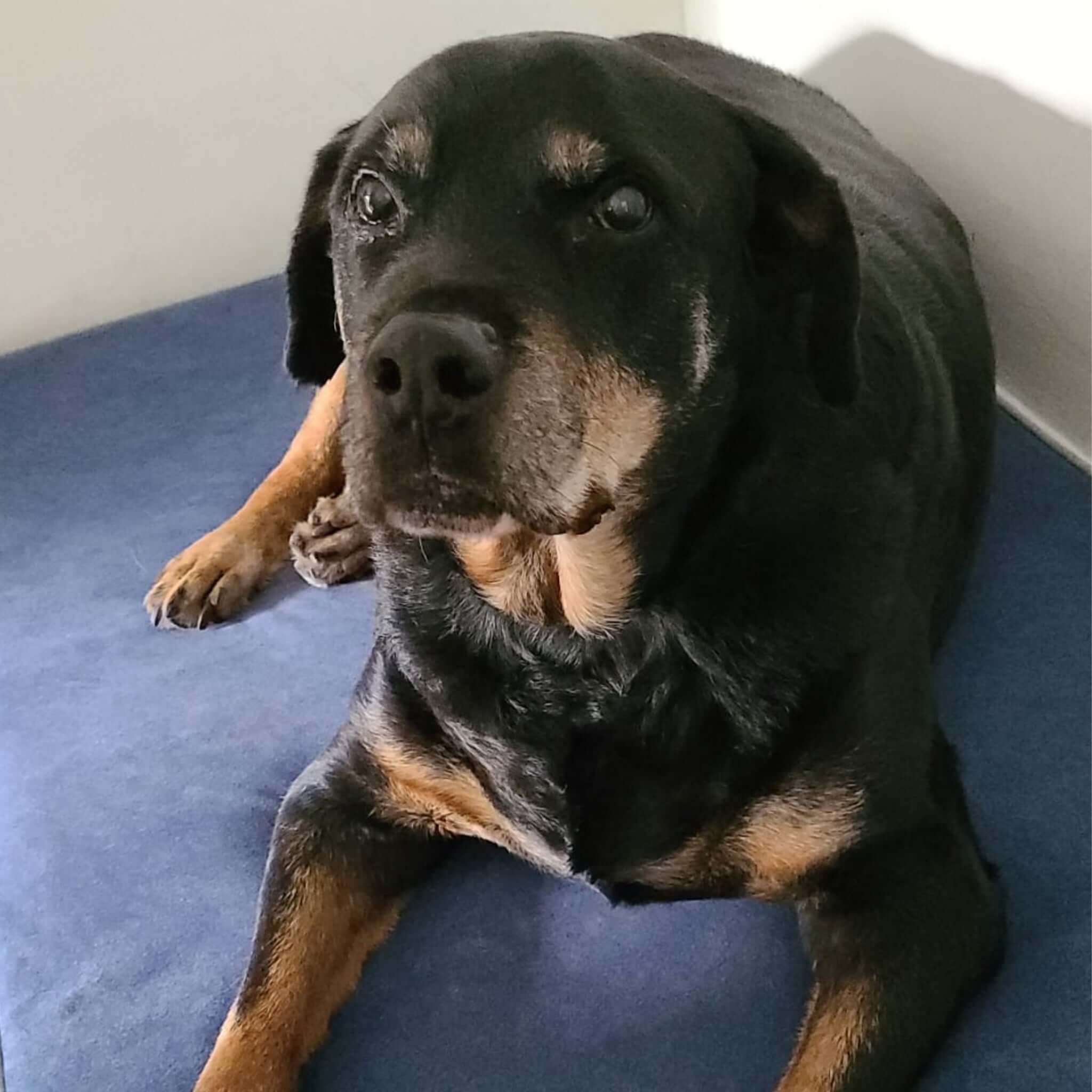 Imagen del producto 93