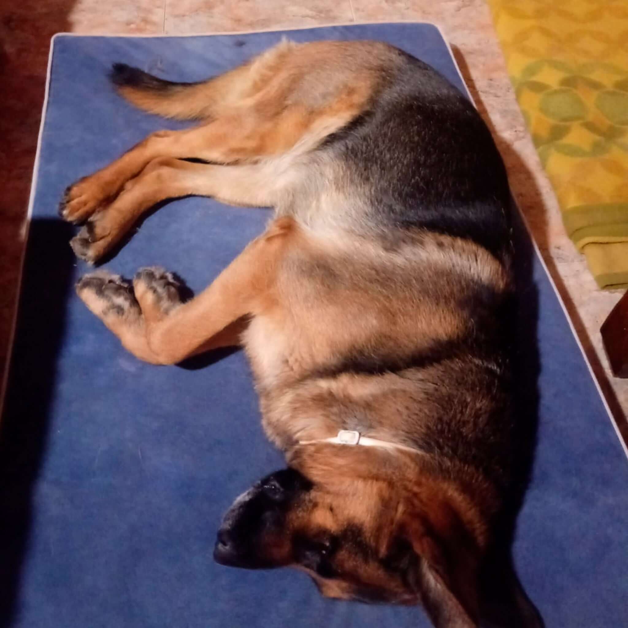 Imagen del producto 94