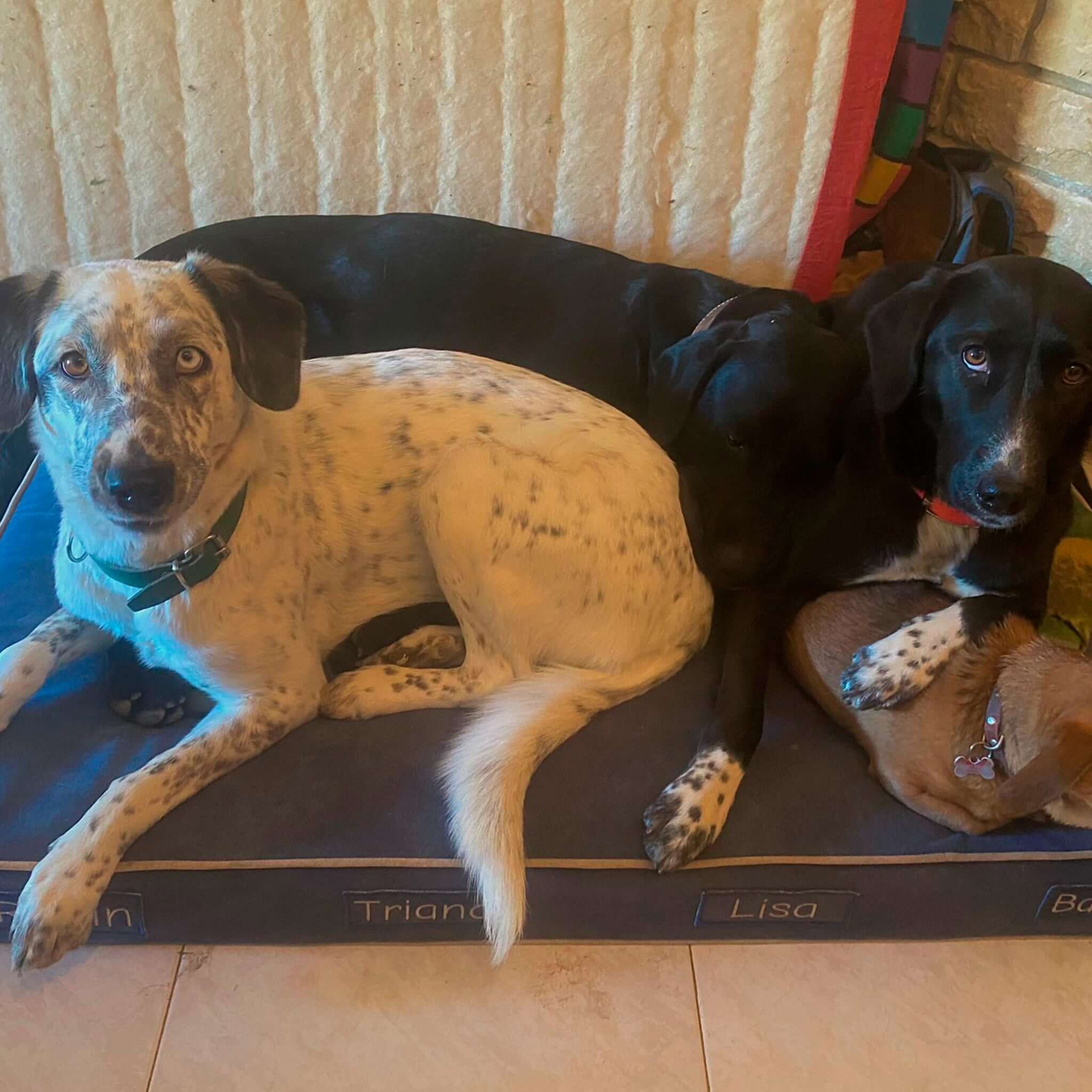 Imagen del producto 95