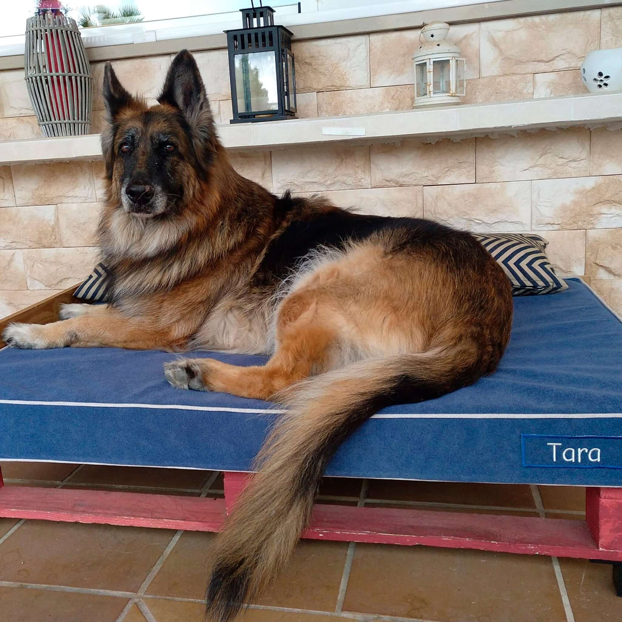 Imagen del producto 96