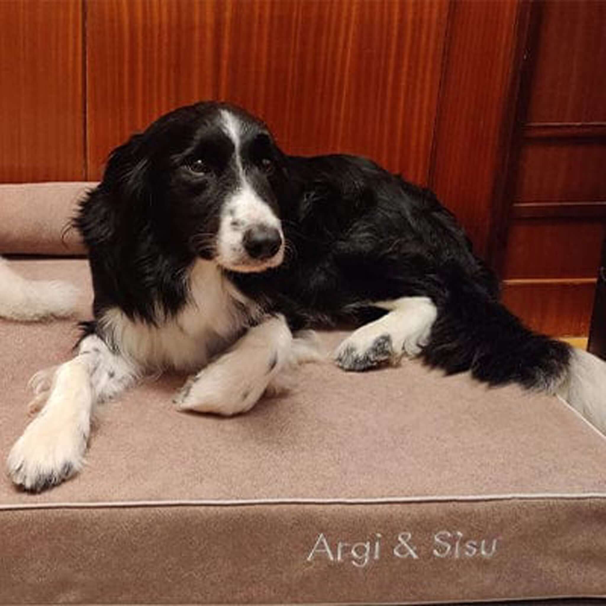 Imagen del producto 97