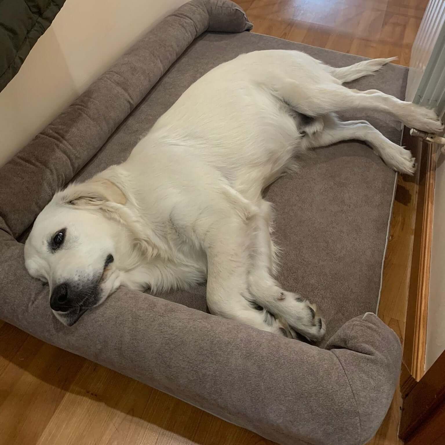 Imagen del producto 99