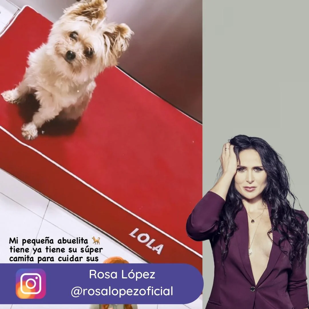 Imagen del producto 11