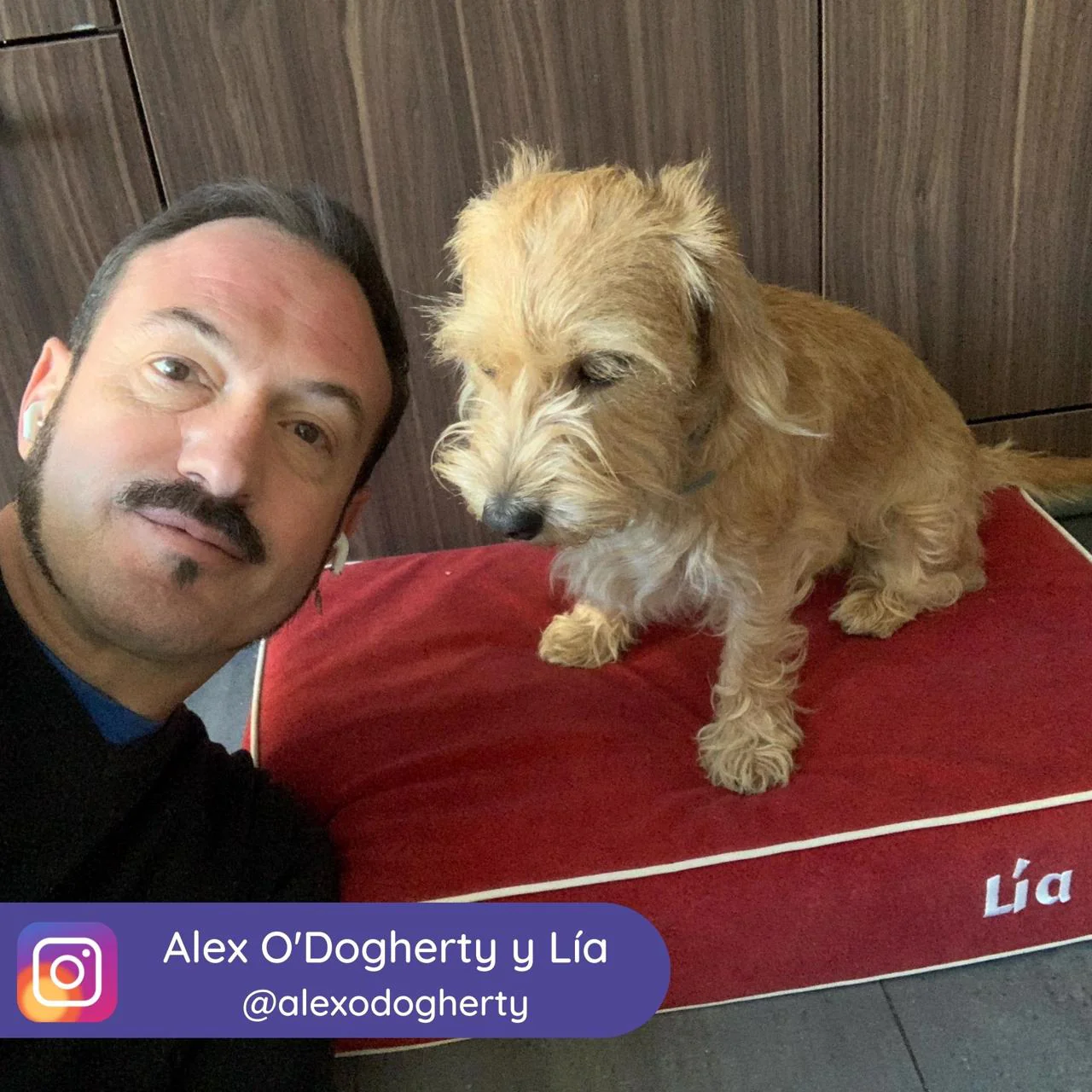 Imagen del producto 13