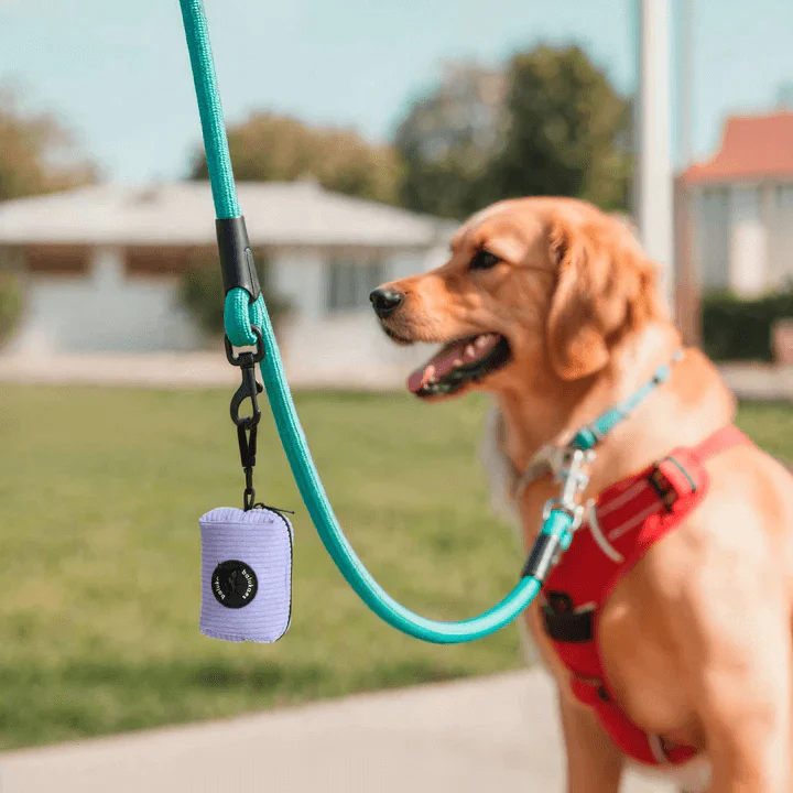 Imagen del producto 8